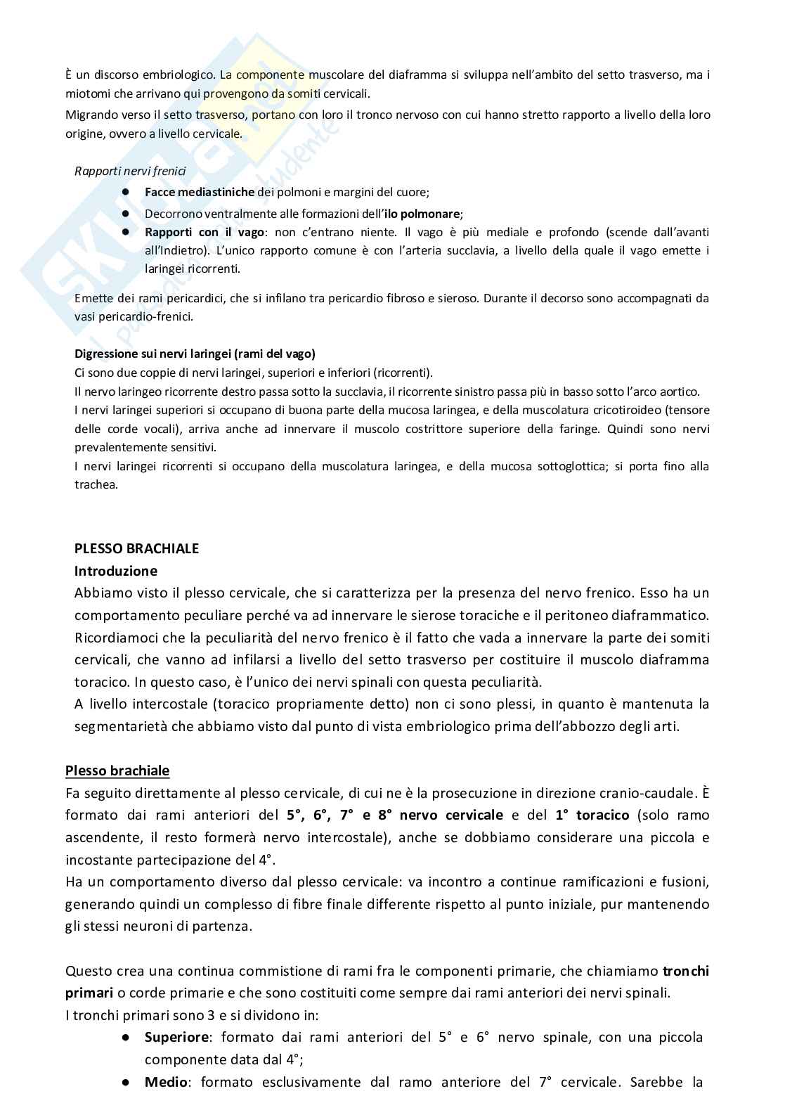 Sistema nervoso periferico Pag. 31