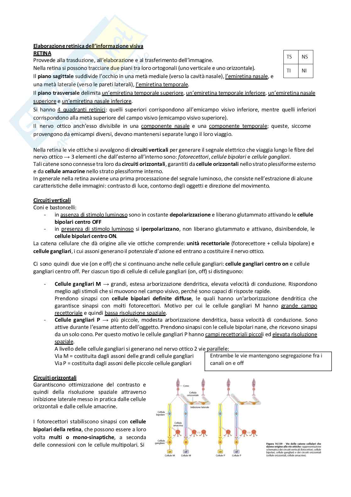 Sistema nervoso periferico Pag. 51