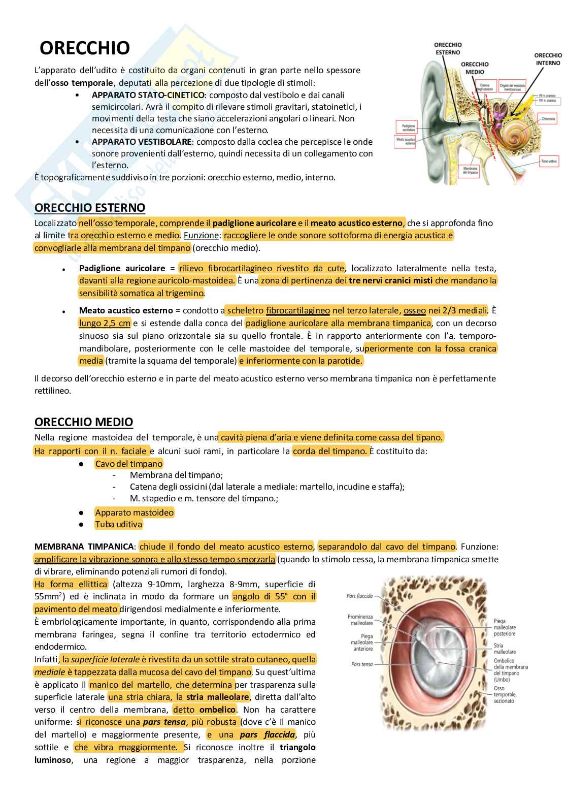 Sistema nervoso periferico Pag. 56