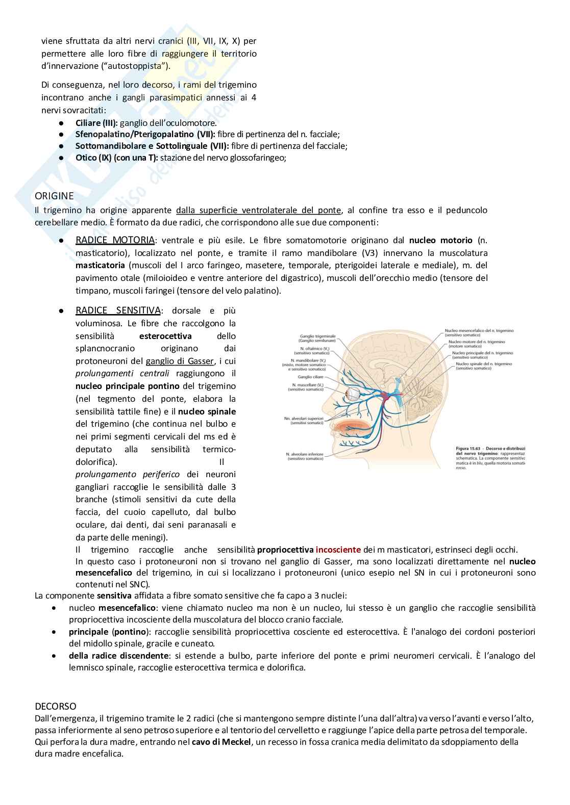 Sistema nervoso periferico Pag. 6