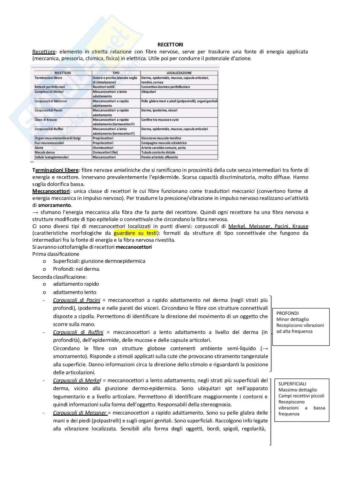 Sistema nervoso periferico Pag. 76