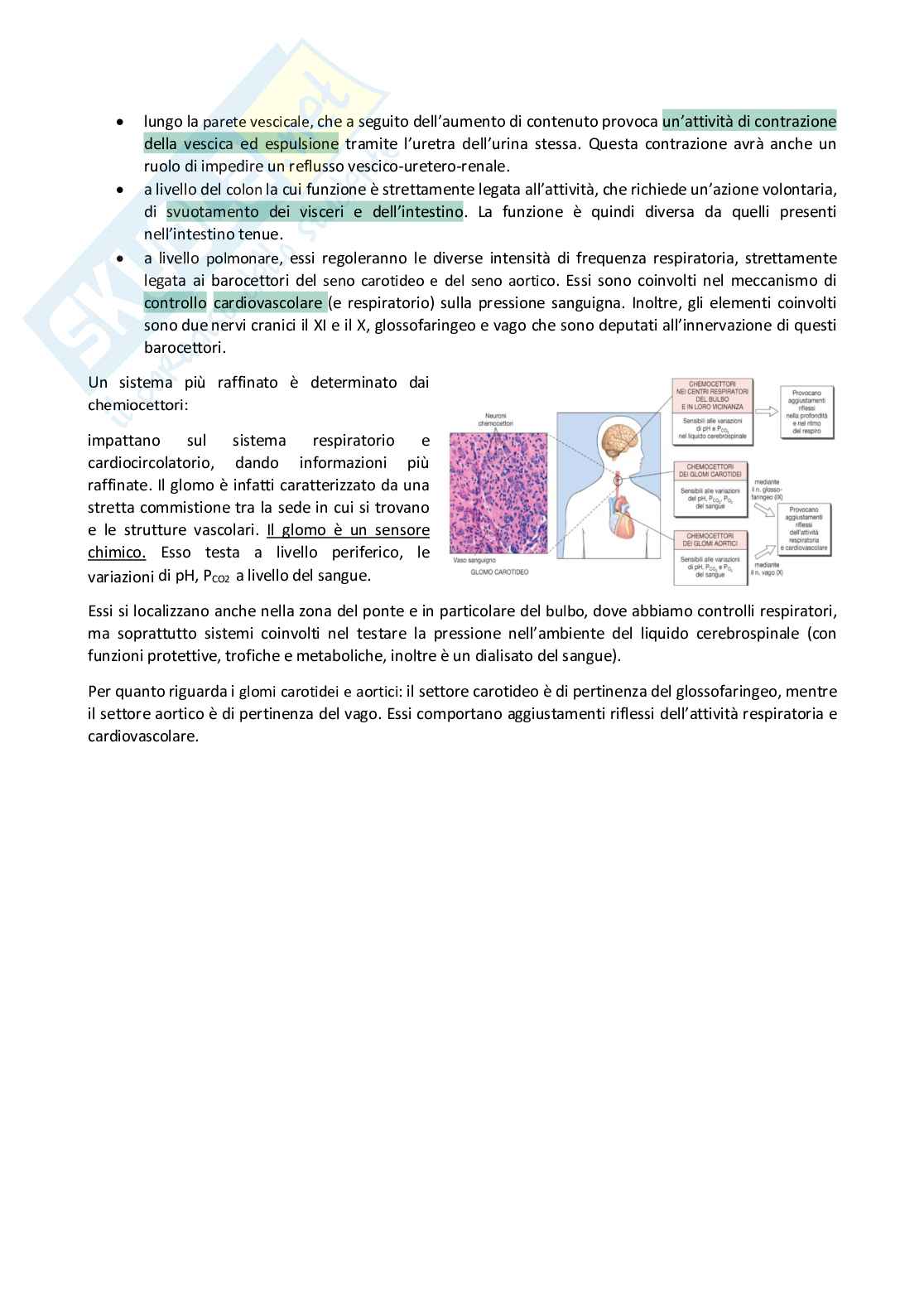 Sistema nervoso periferico Pag. 81