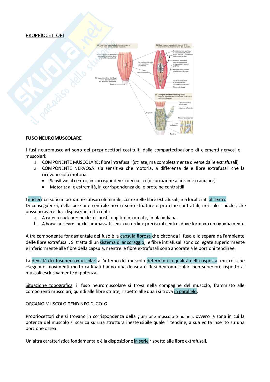 Sistema nervoso periferico Pag. 86