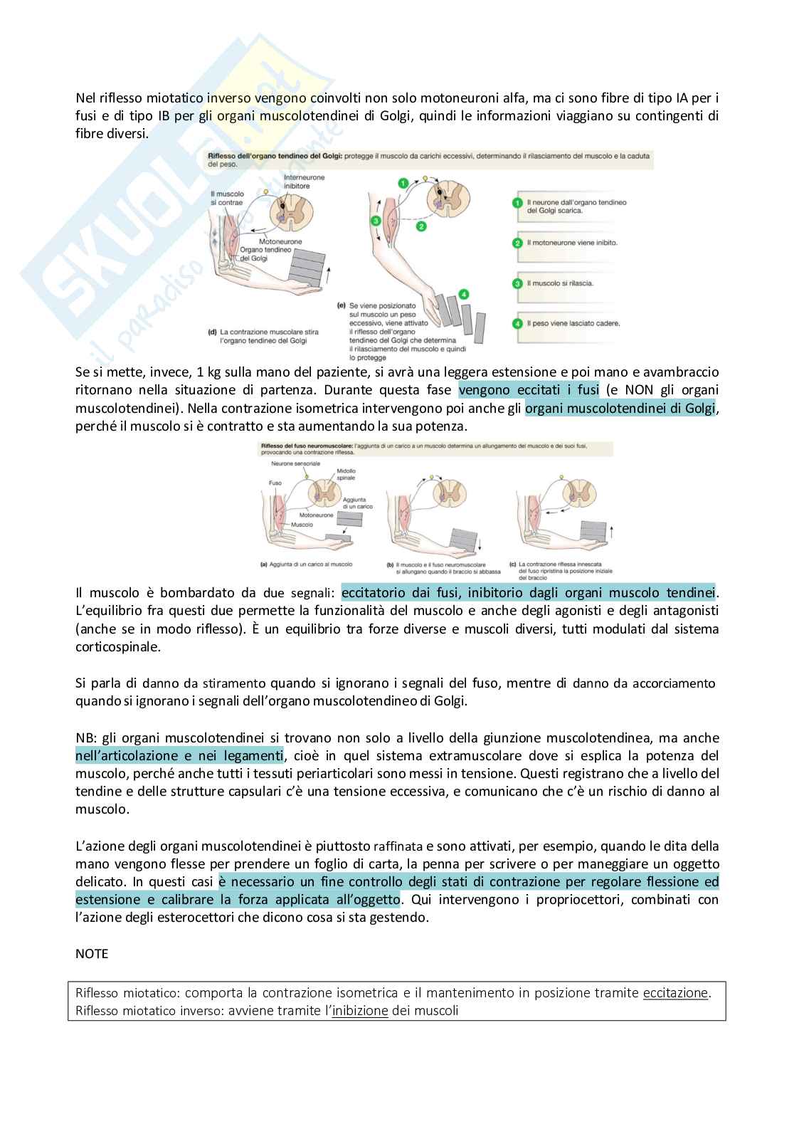 Sistema nervoso periferico Pag. 91