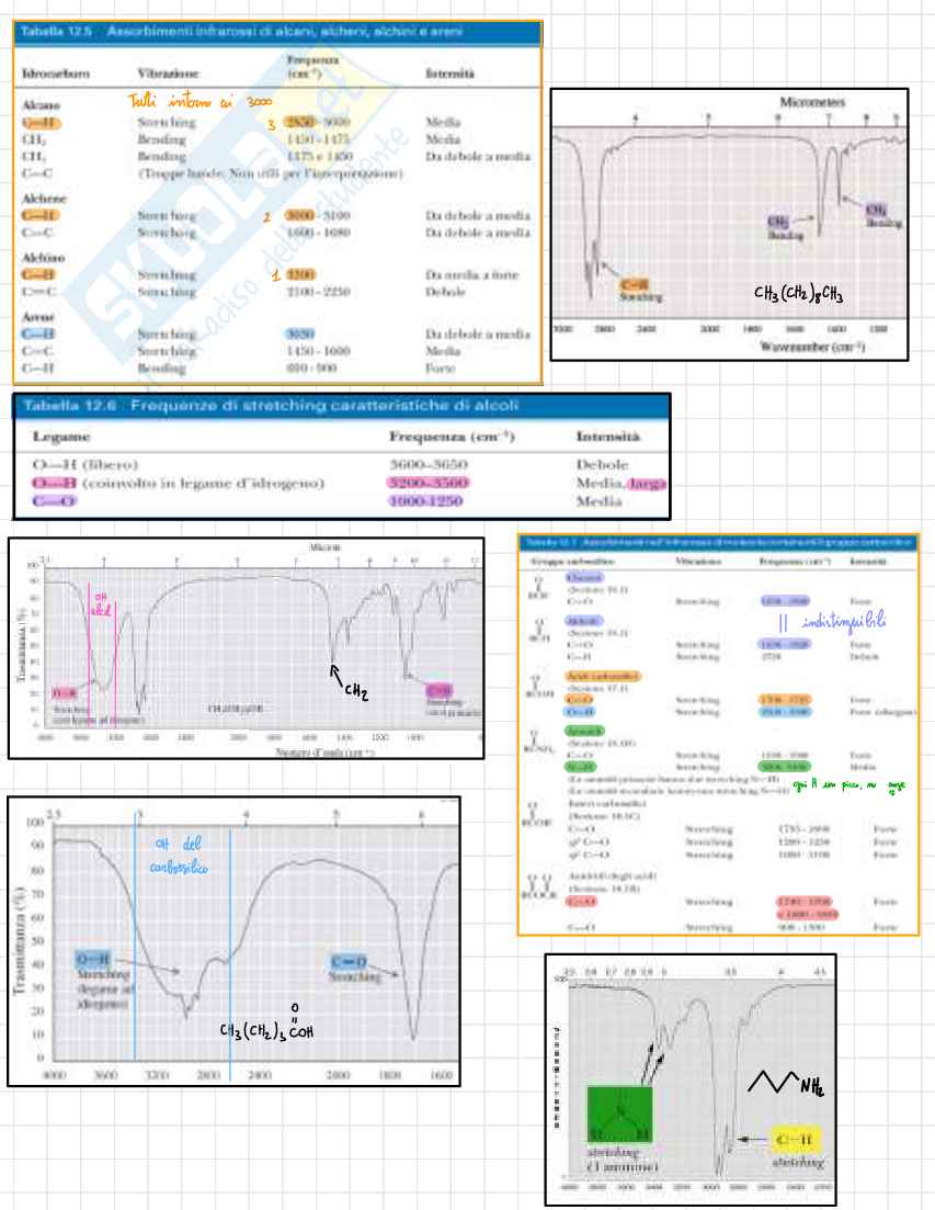 Appunti Chimica organica Pag. 11