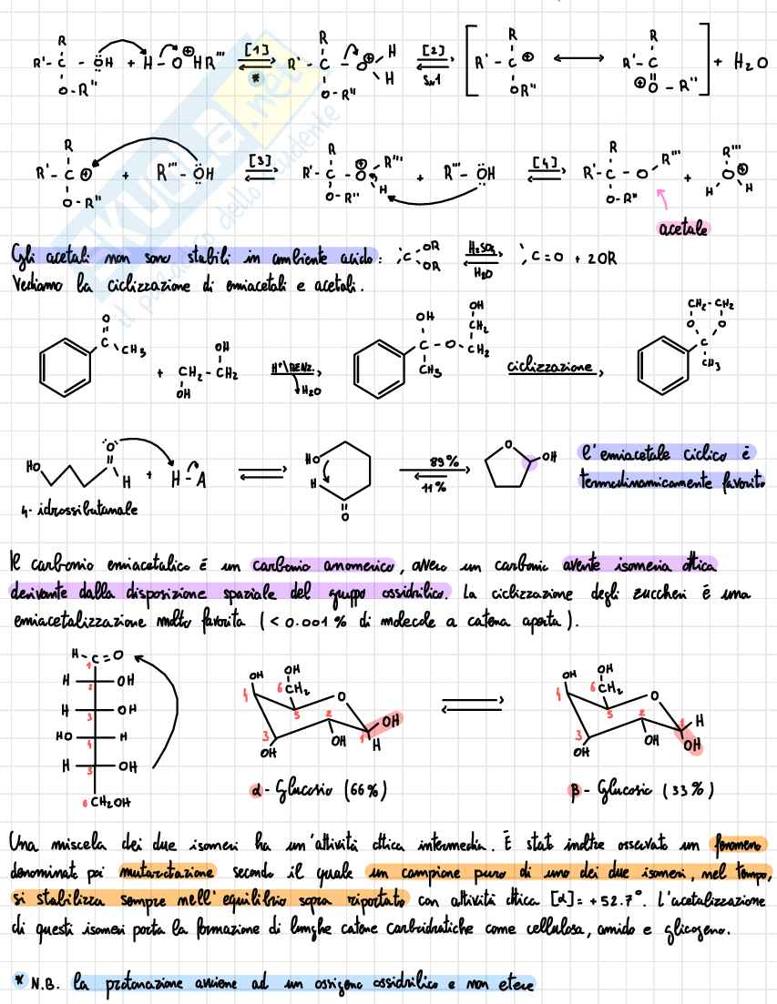 Appunti Chimica organica Pag. 31