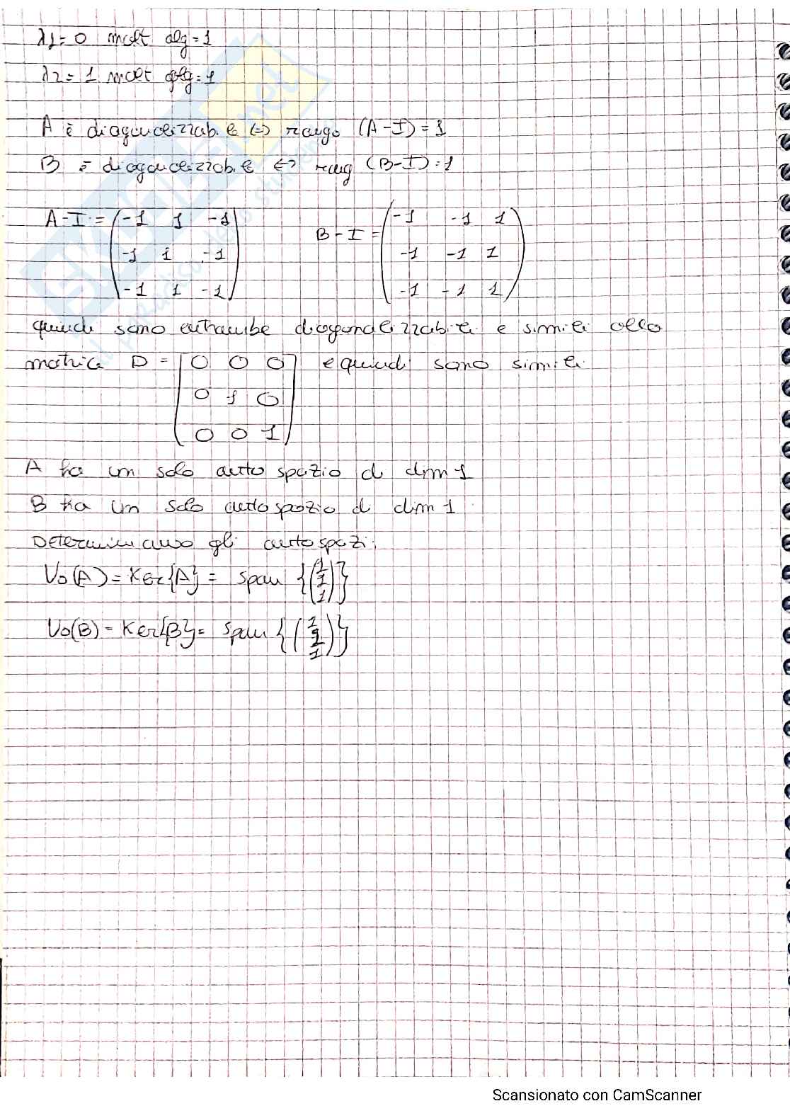 Esercizi Algebra e geometria lineare Pag. 46