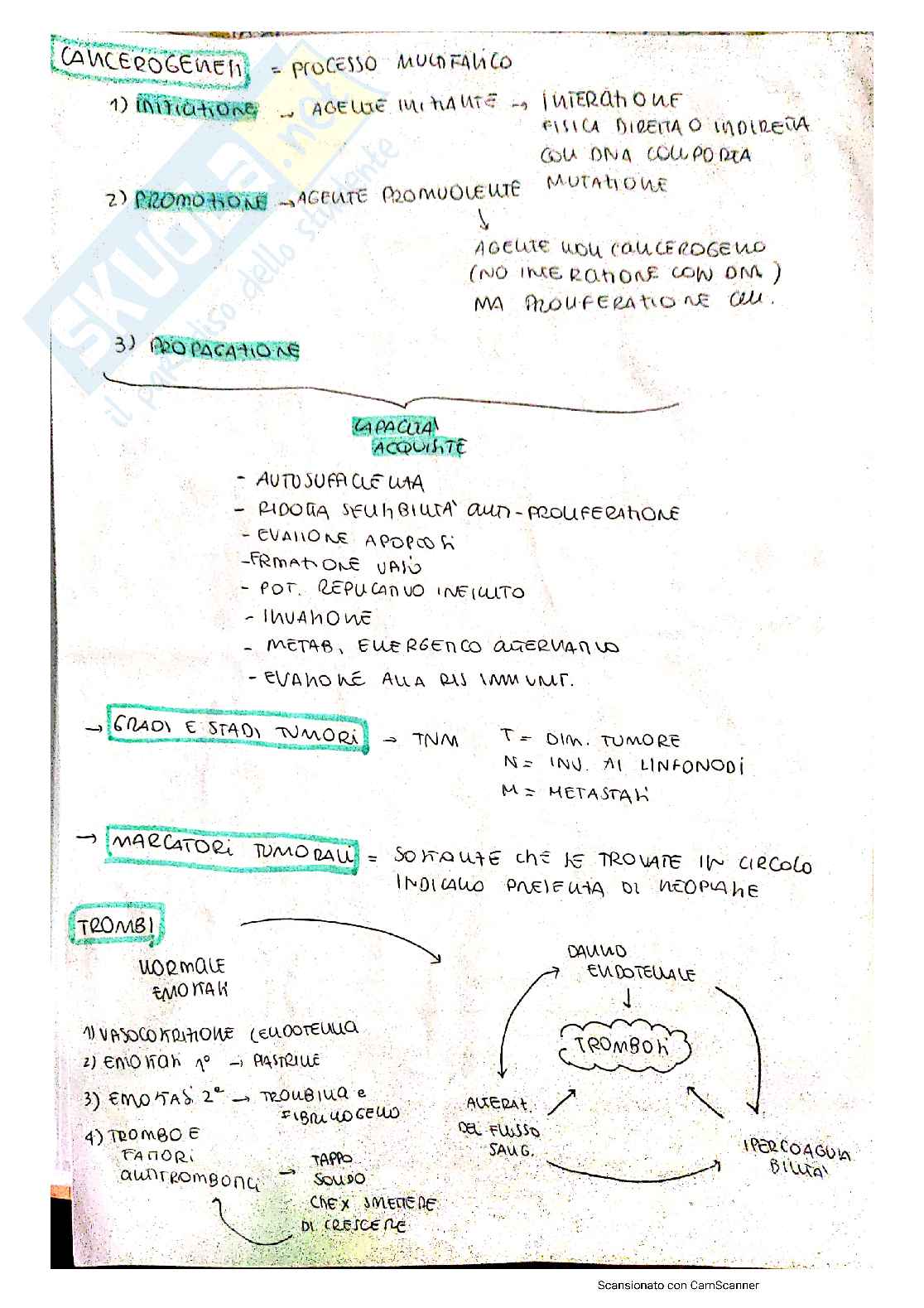 Riassunti Patologia generale e clinica e schemi Microbiologia generale e clinica Pag. 11