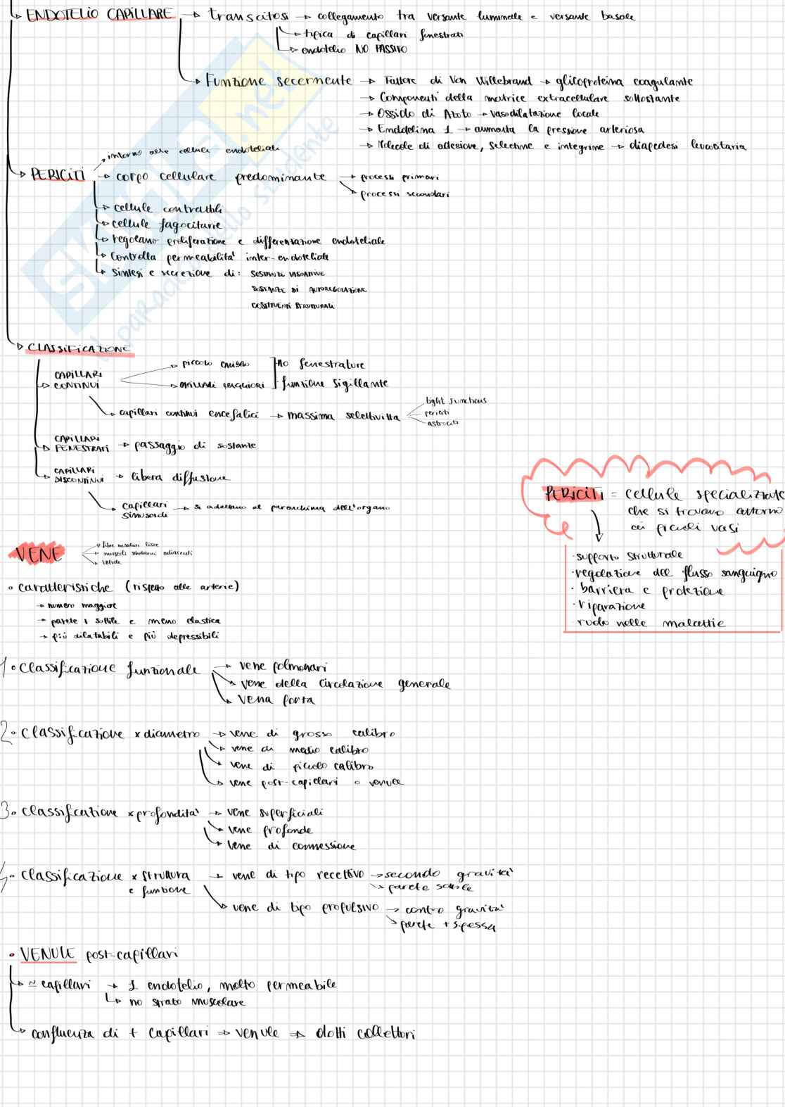 Schemi di Anatomia 1 sull'apparato vascolare - parte 1 Pag. 2