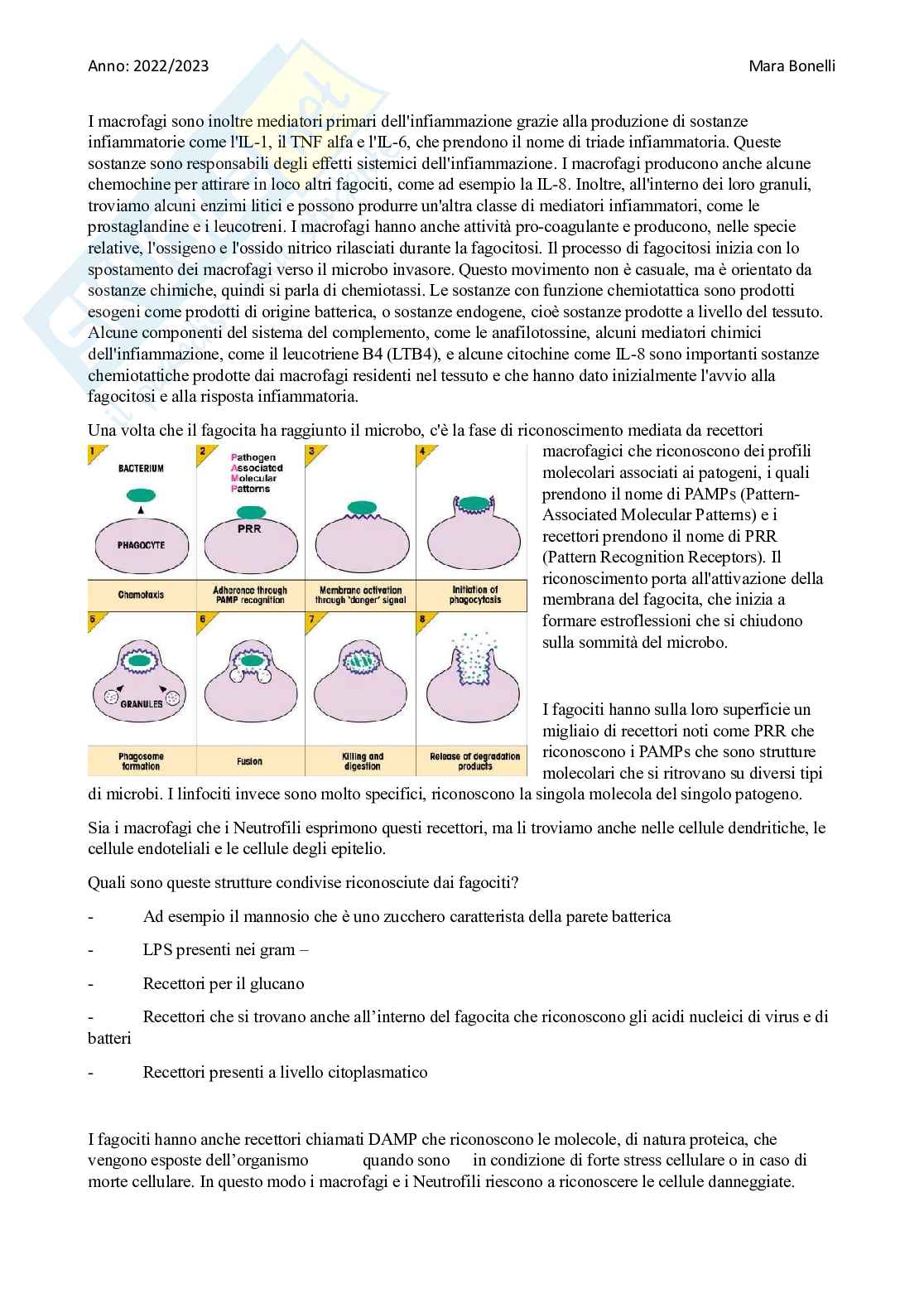 Patologia cellulare e fisiopatologia completa Pag. 36