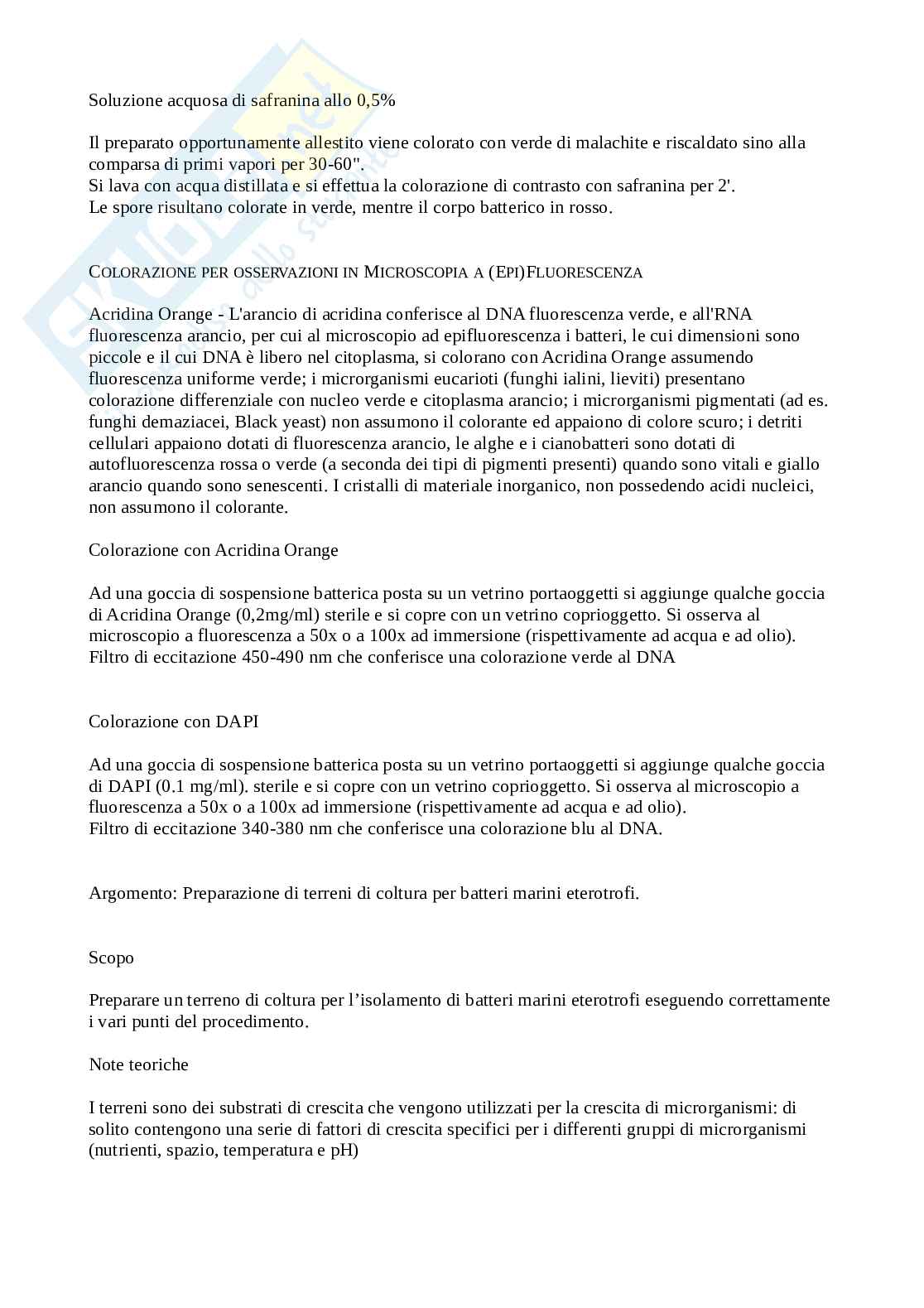 Laboratorio di microbiologia Pag. 6