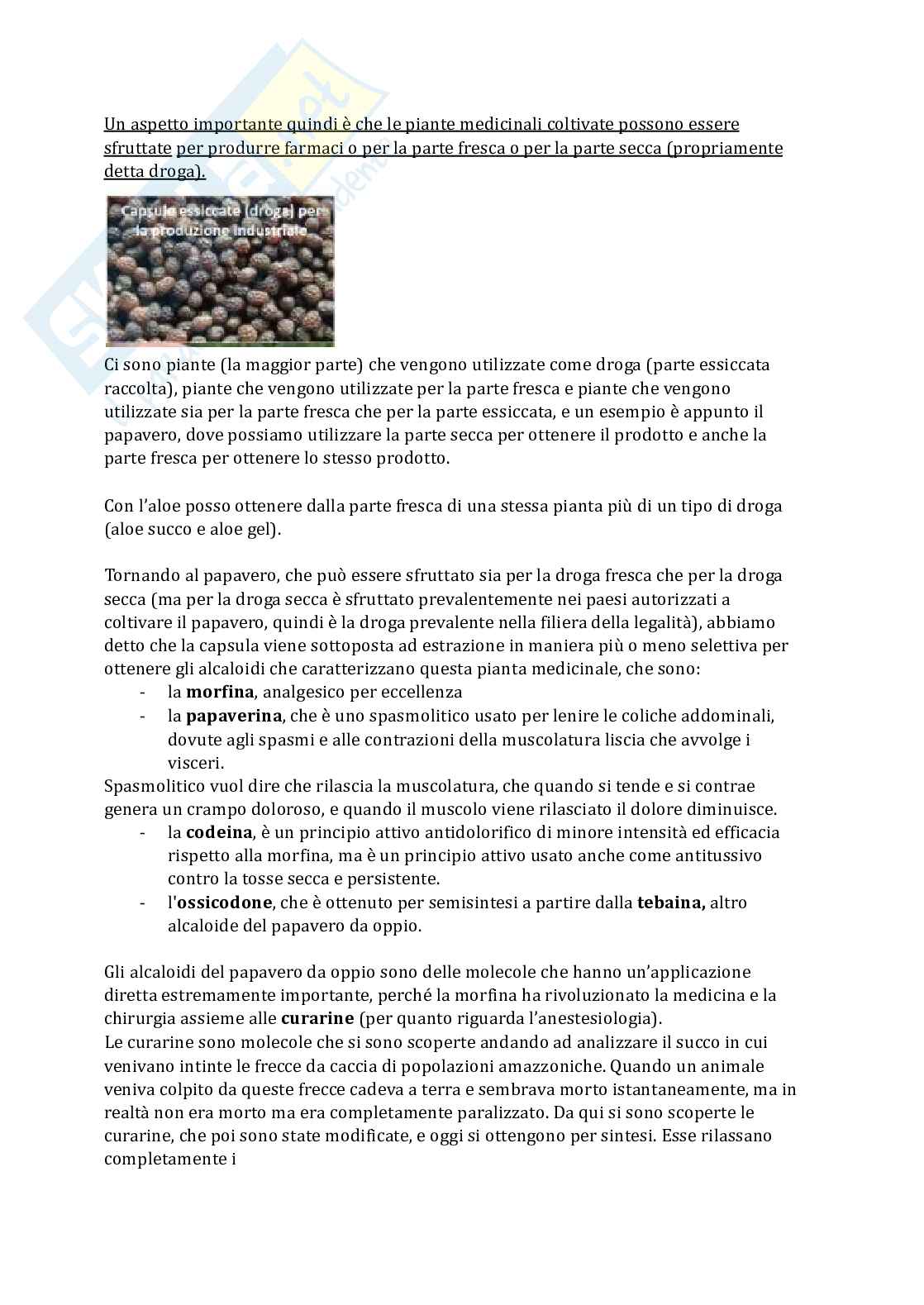 Botanica Pag. 11