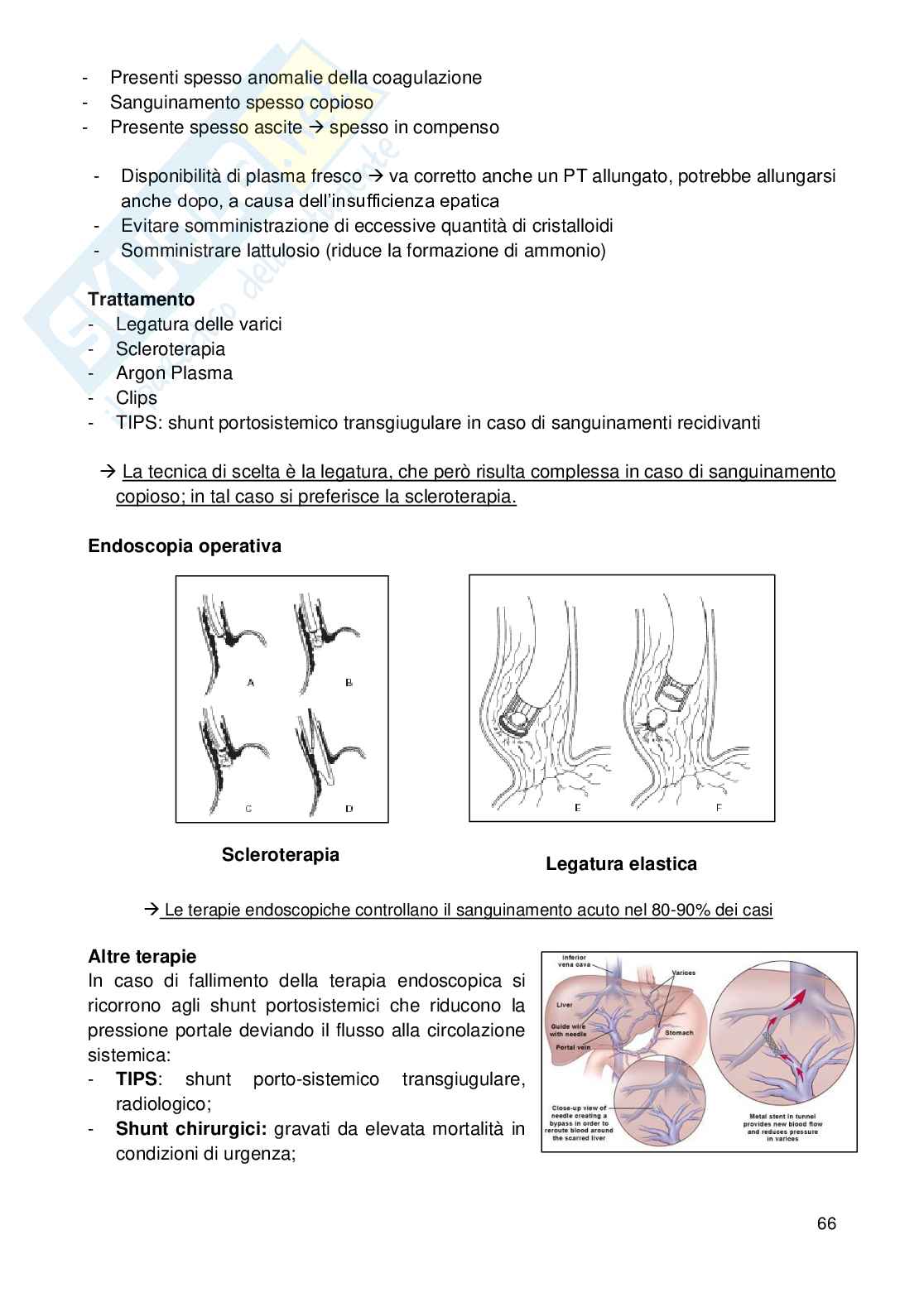 Chirurgia d'urgenza Pag. 66