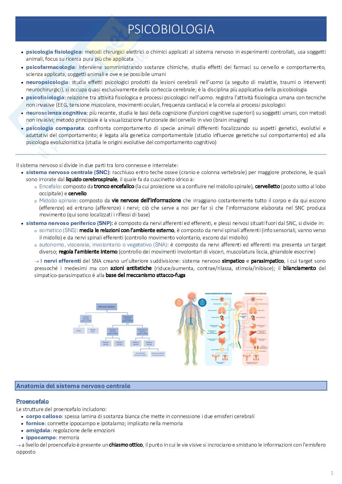 Psicobiologia: appunti completi (2025/2026) Pag. 1
