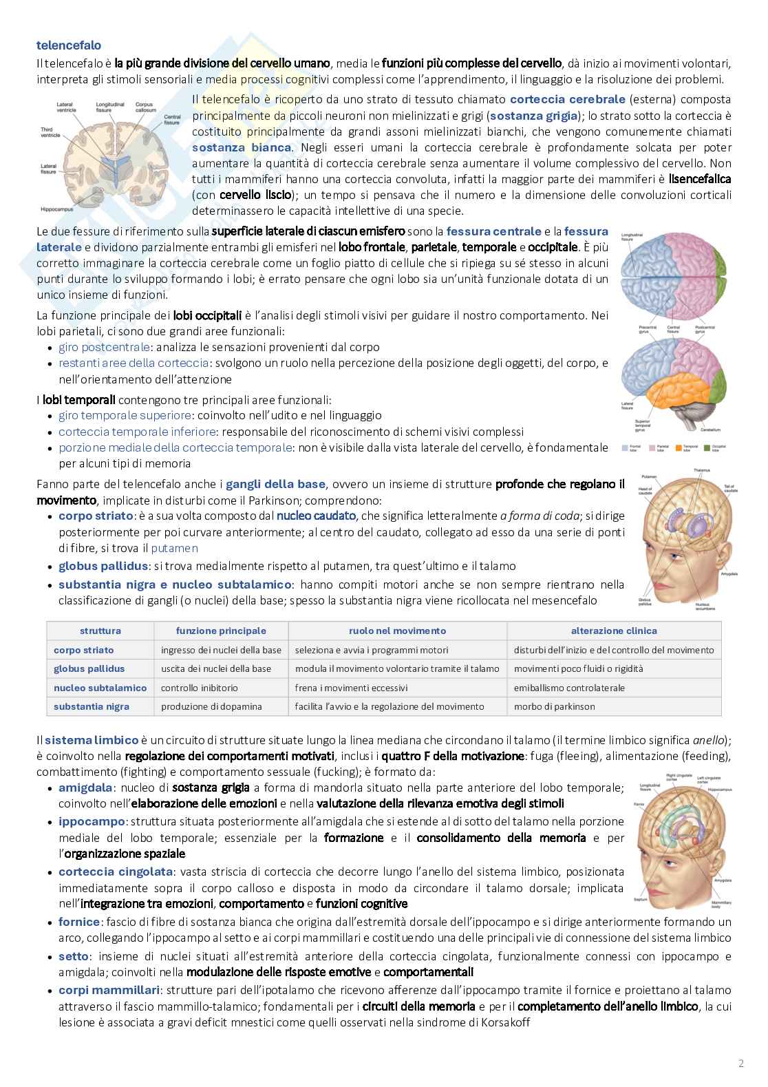 Psicobiologia: appunti completi (2025/2026) Pag. 2