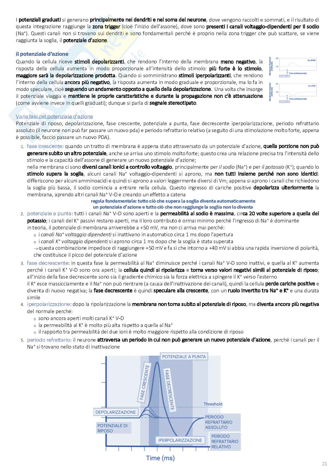 Psicobiologia: appunti completi (2025/2026) Pag. 21