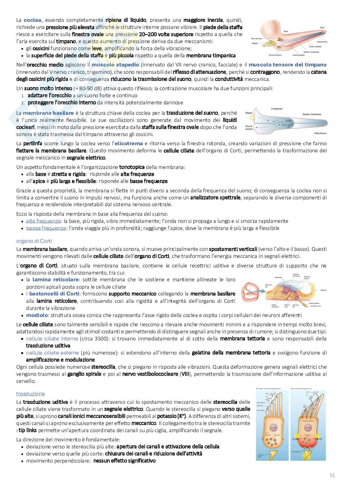 Psicobiologia: appunti completi (2025/2026) Pag. 51