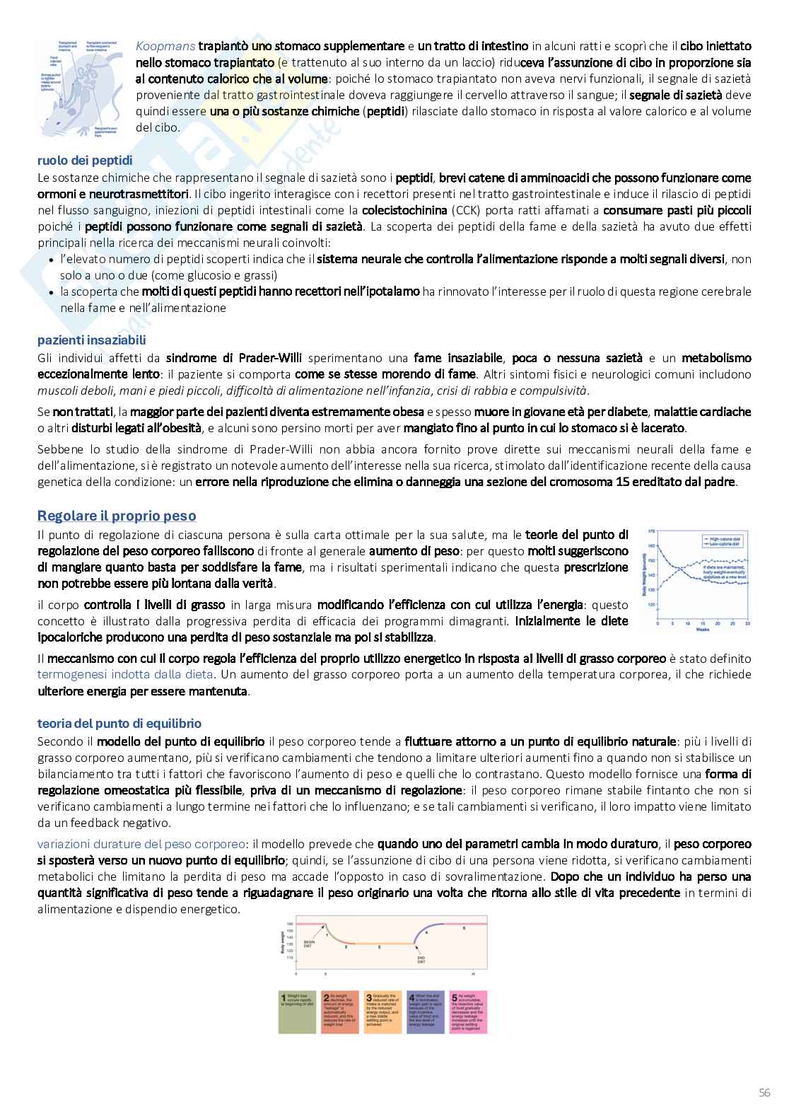 Psicobiologia: appunti completi (2025/2026) Pag. 56
