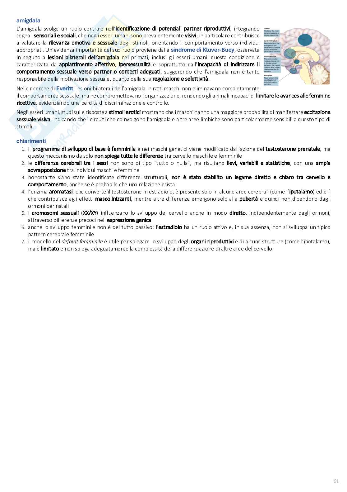 Psicobiologia: appunti completi (2025/2026) Pag. 61