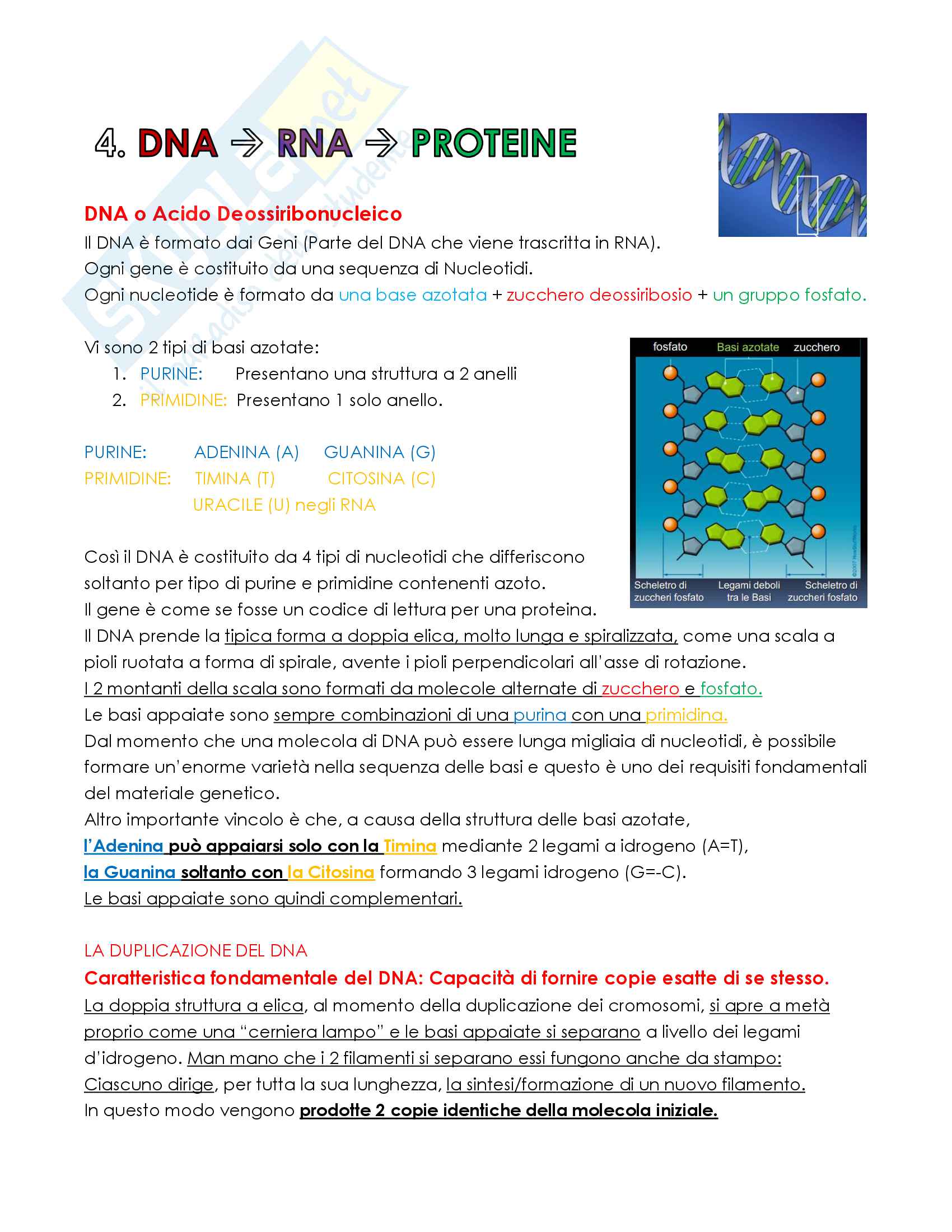 Argomenti del corso di Biologia Animale Pag. 71