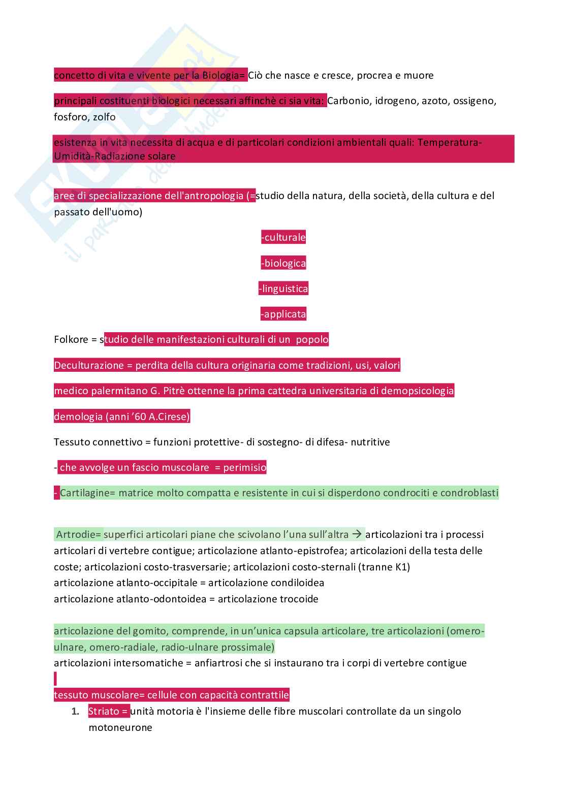 Schemi su slide Anatomia umana Pag. 1