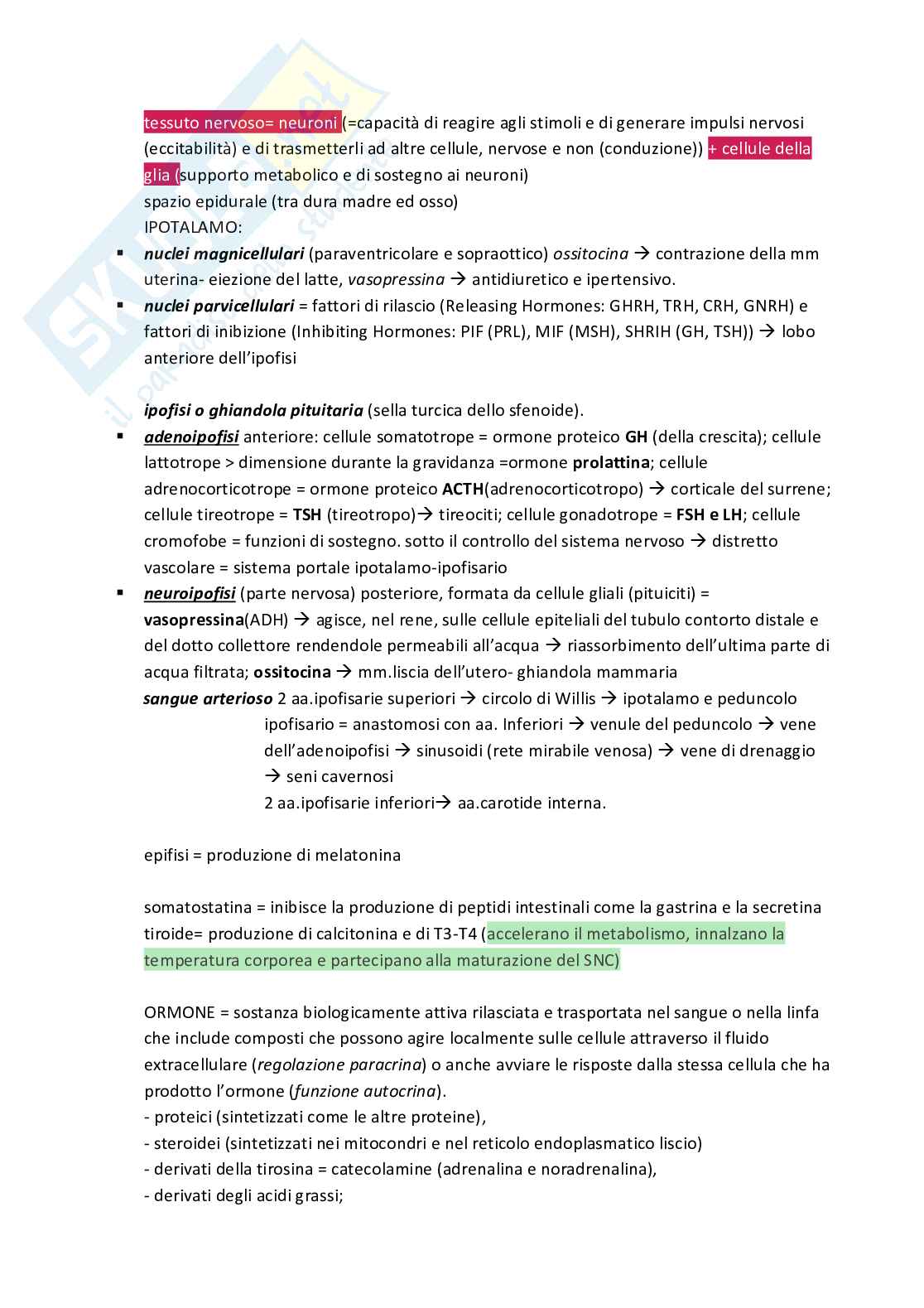 Schemi su slide Anatomia umana Pag. 11