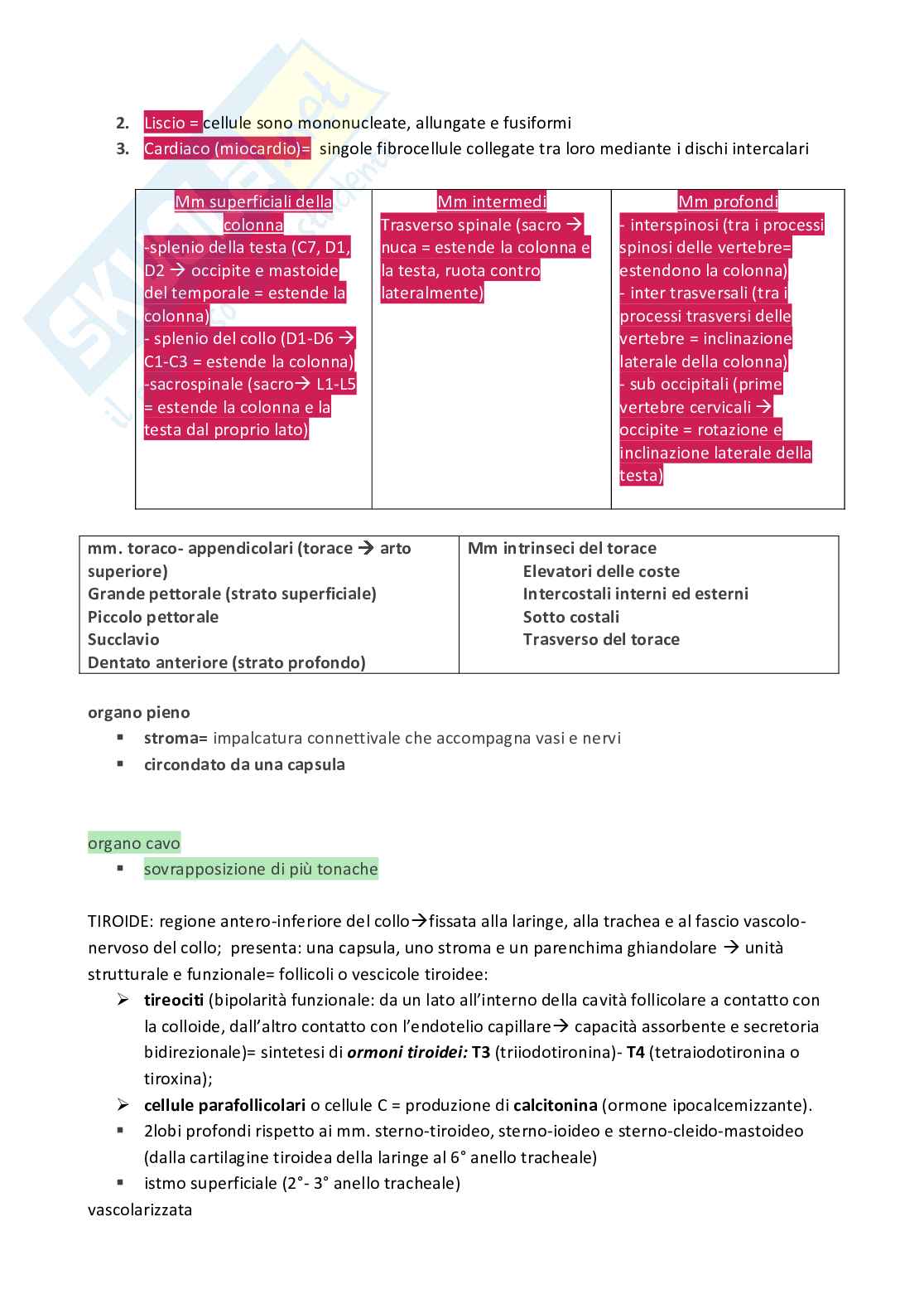 Schemi su slide Anatomia umana Pag. 2