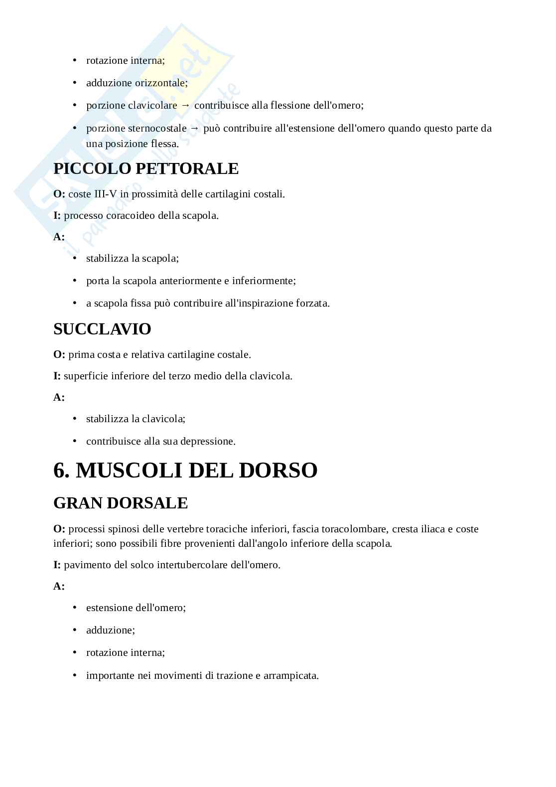 Appunti di Anatomia applicata all'attività motoria completi Pag. 31