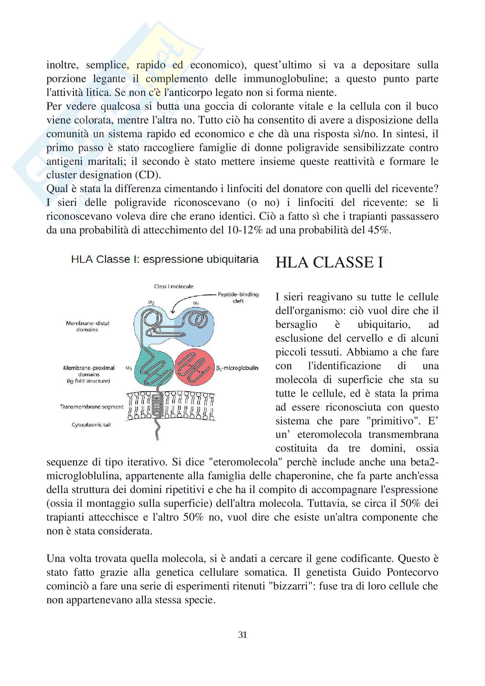 Genetica umana (malattie genetiche monofattoriali e complesse, HLA, ereditarietà, mutazioni, genetica delle popolazioni) Pag. 31