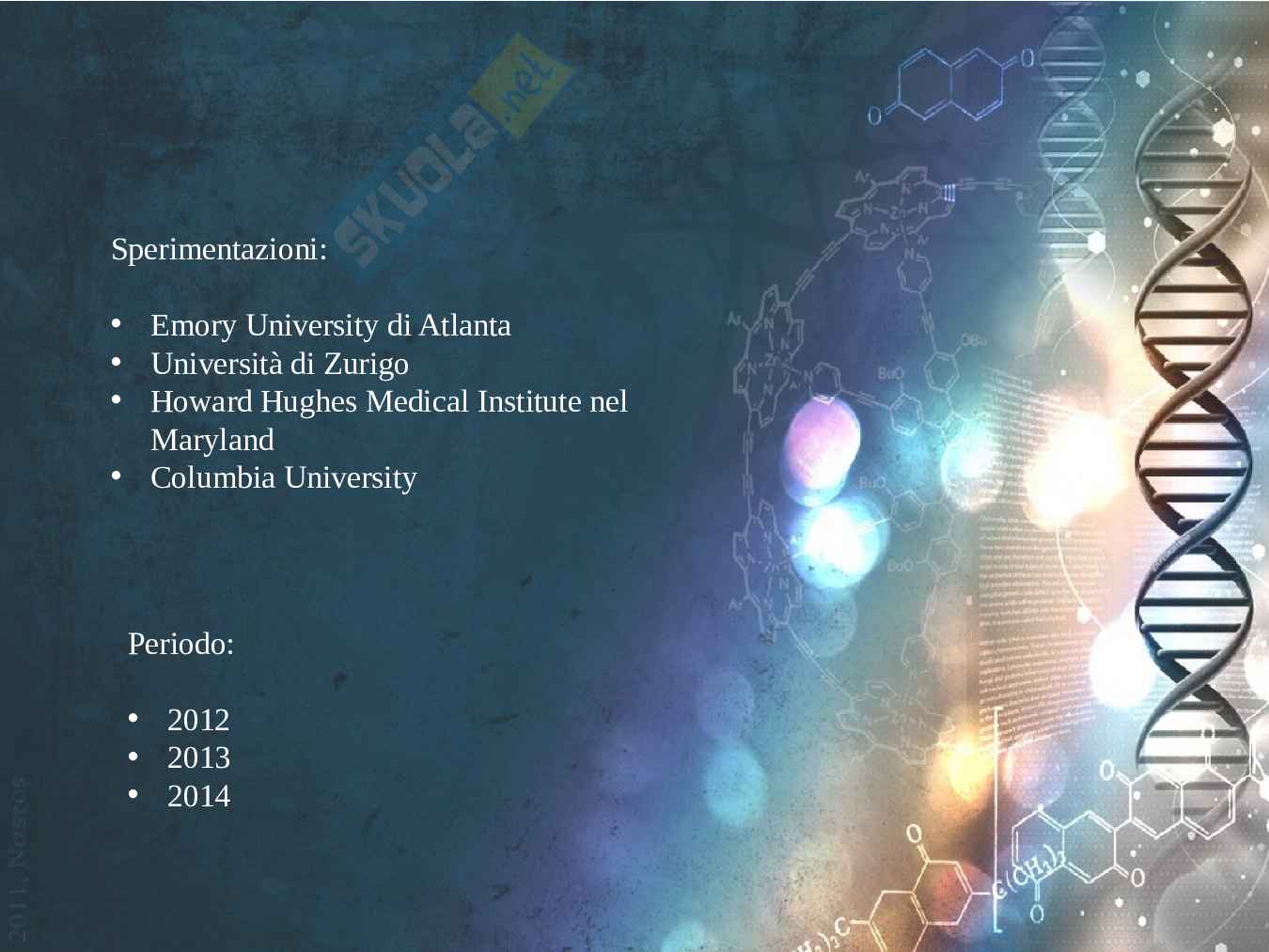 Eredità, epigenetica e transgenerazionale - Tesina Pag. 11