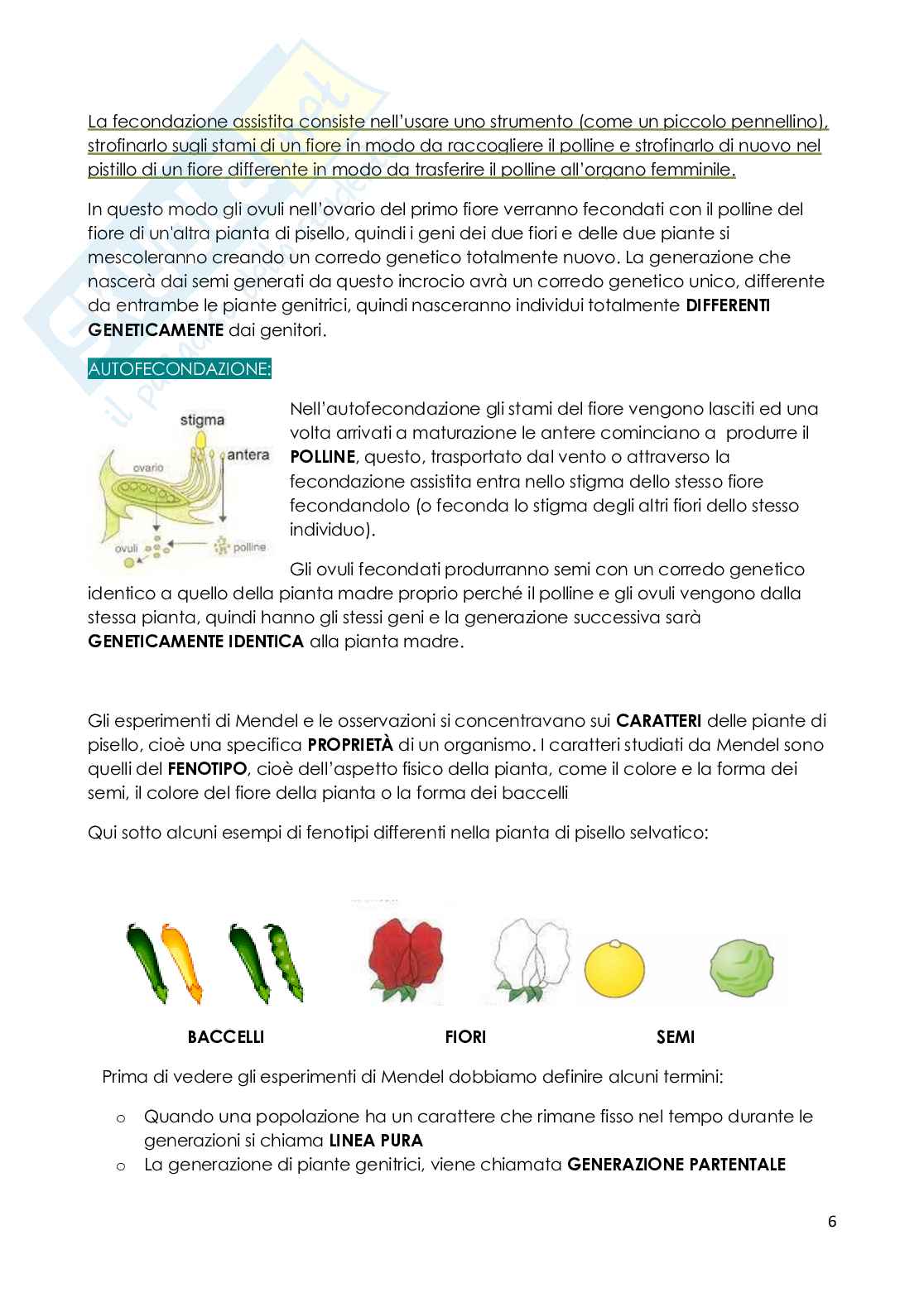 Genetica - prima parte Pag. 6