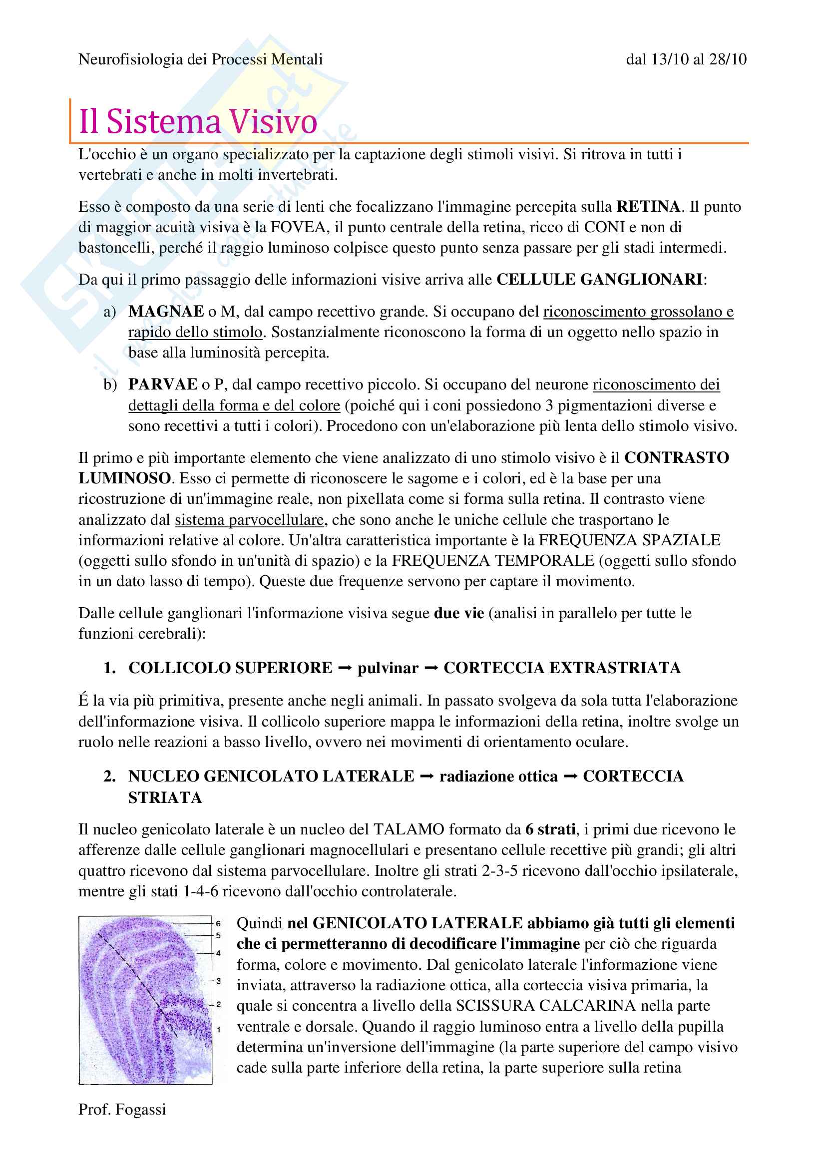 Sistema visivo Pag. 1