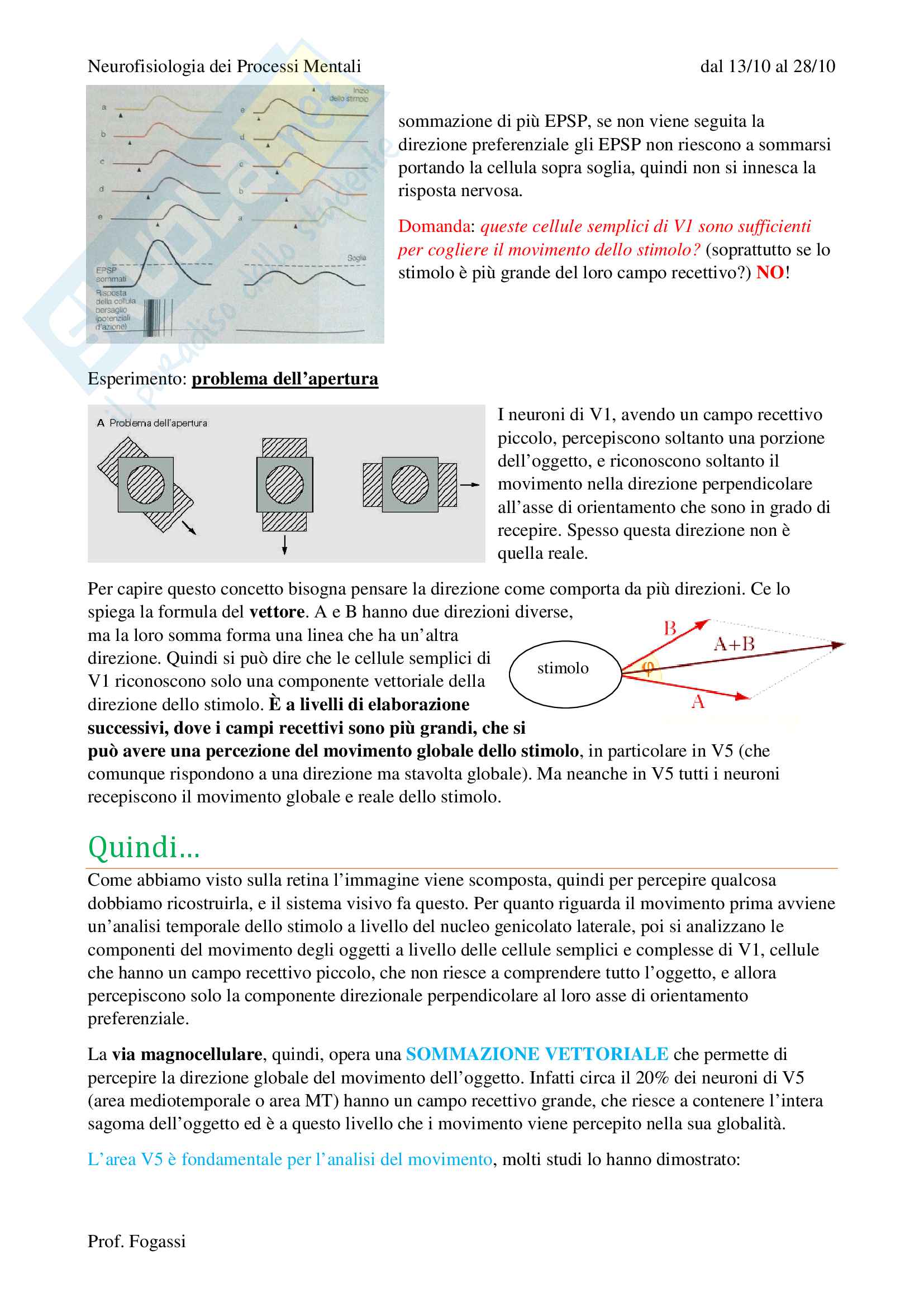 Sistema visivo Pag. 6