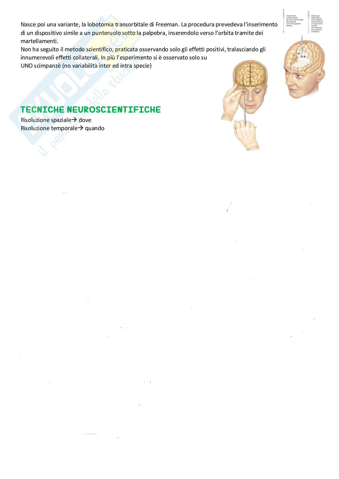 Riassunto esame Basi biologiche del comportamento, prof. Meconi, libro consigliato Psicobiologia, Pinel Pag. 6