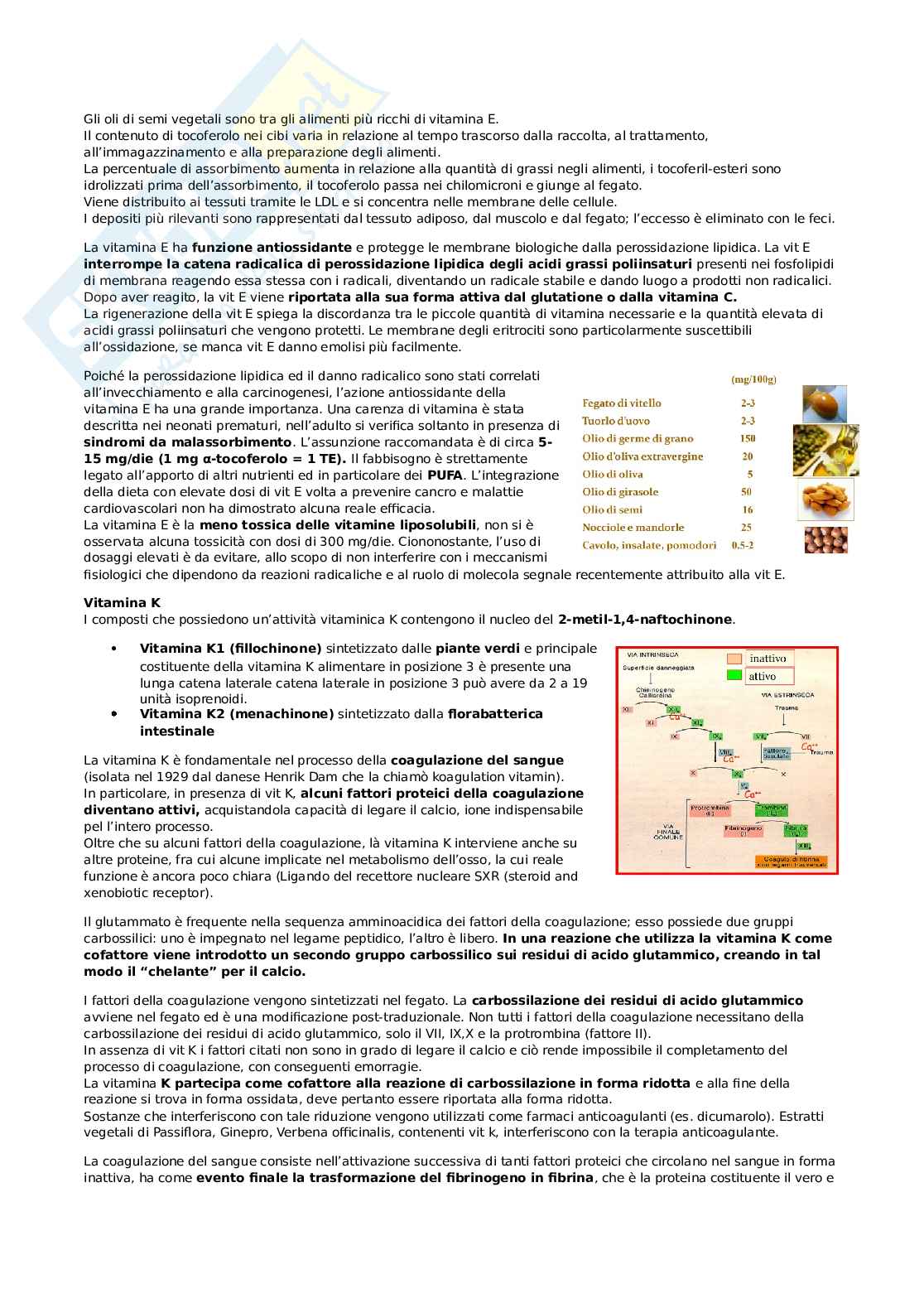 Appunti esame Biochimica generale e della nutrizione Pag. 41