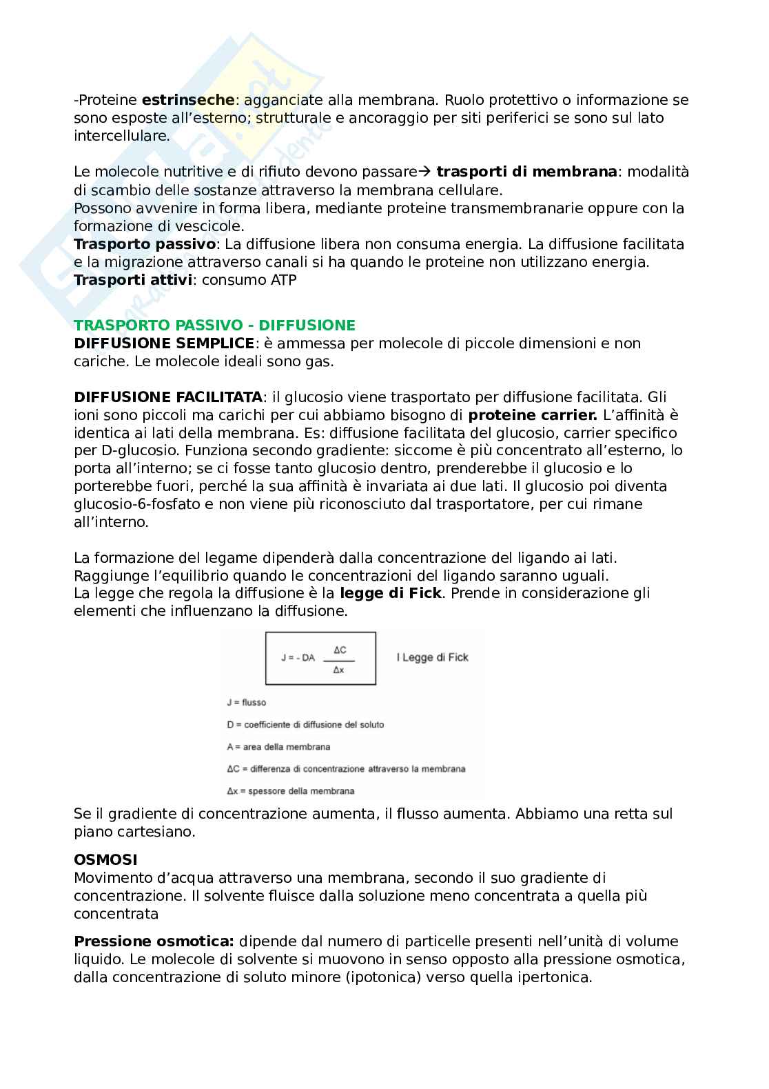 Riassunto esame Fisiologia umana, Prof. Rivolta Ilaria, libro consigliato Elementi di fisiologia, Poltrinieri Pag. 2