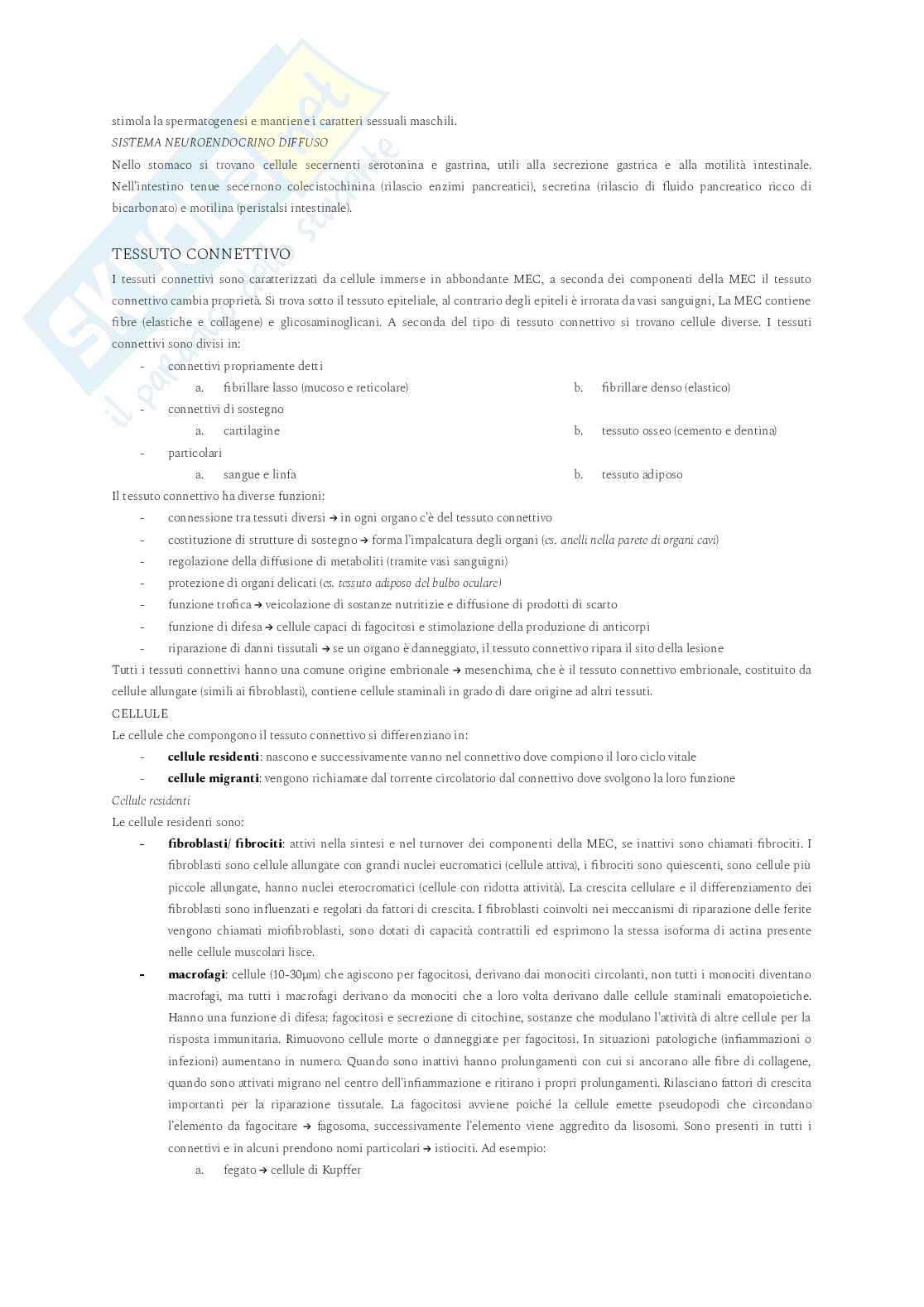 Appunti Anatomia e istologia Pag. 46