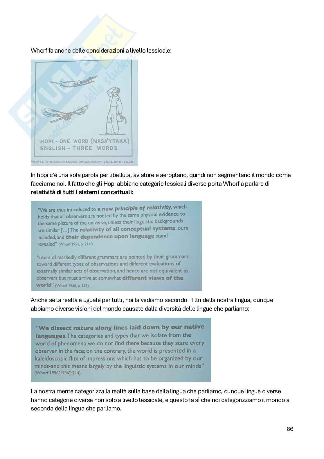 Appunti completi di Semantica e Lessico  Pag. 86