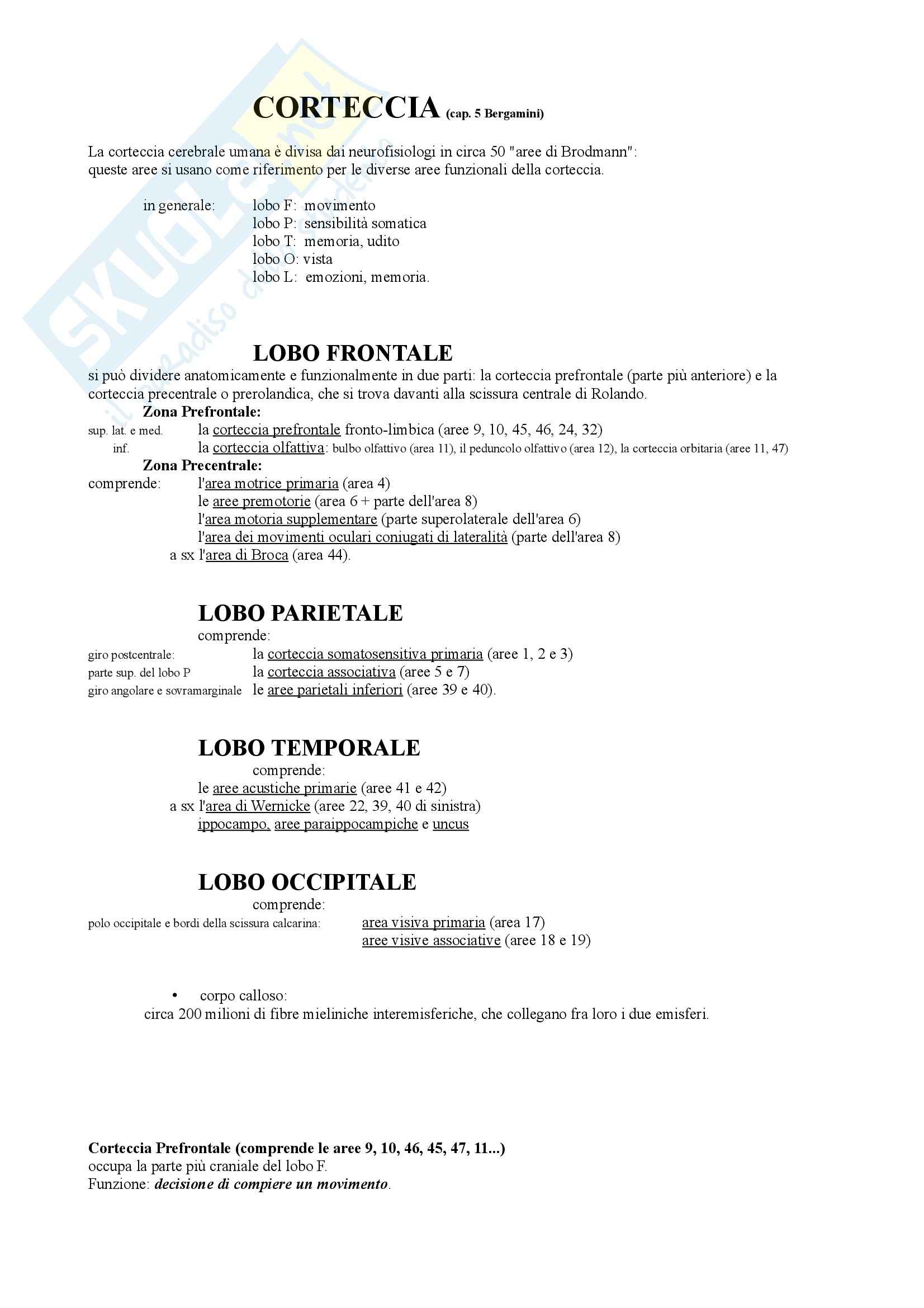 Corteccia cerebrale Pag. 1