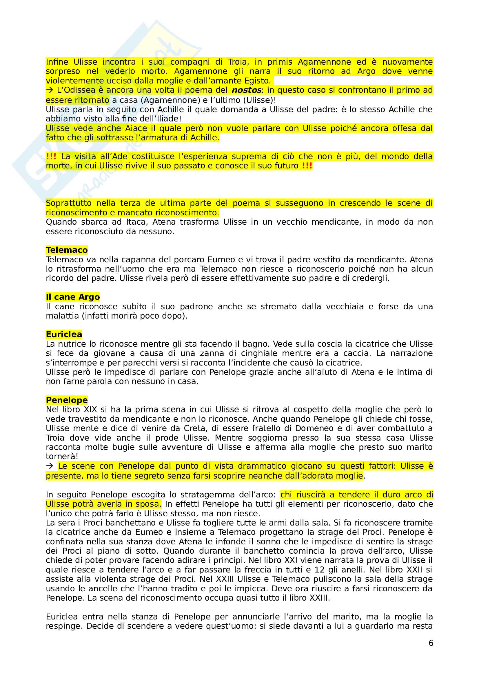 Odissea - Omero - Interpretazione Pag. 6