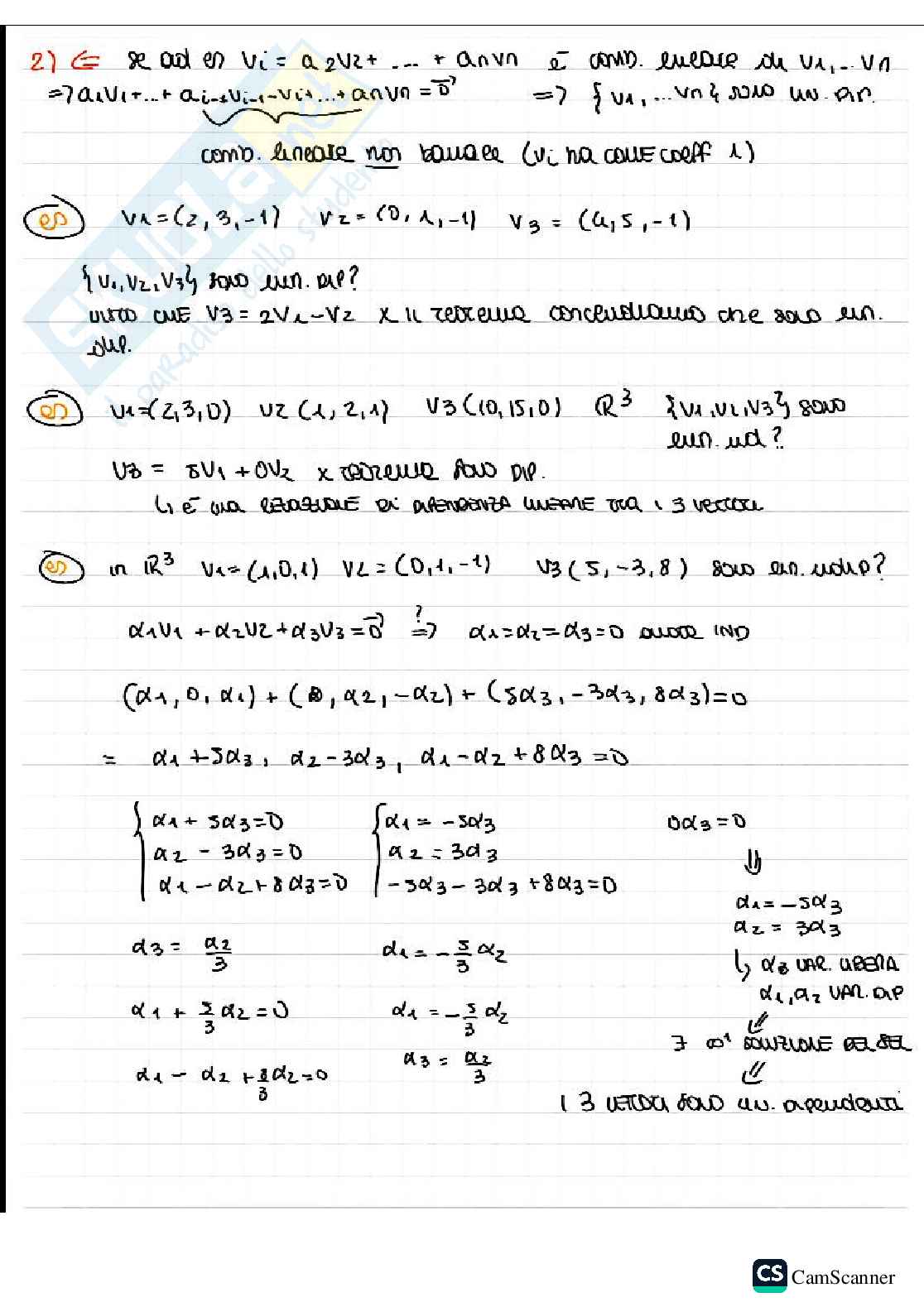 Combinazione lineare  Pag. 6