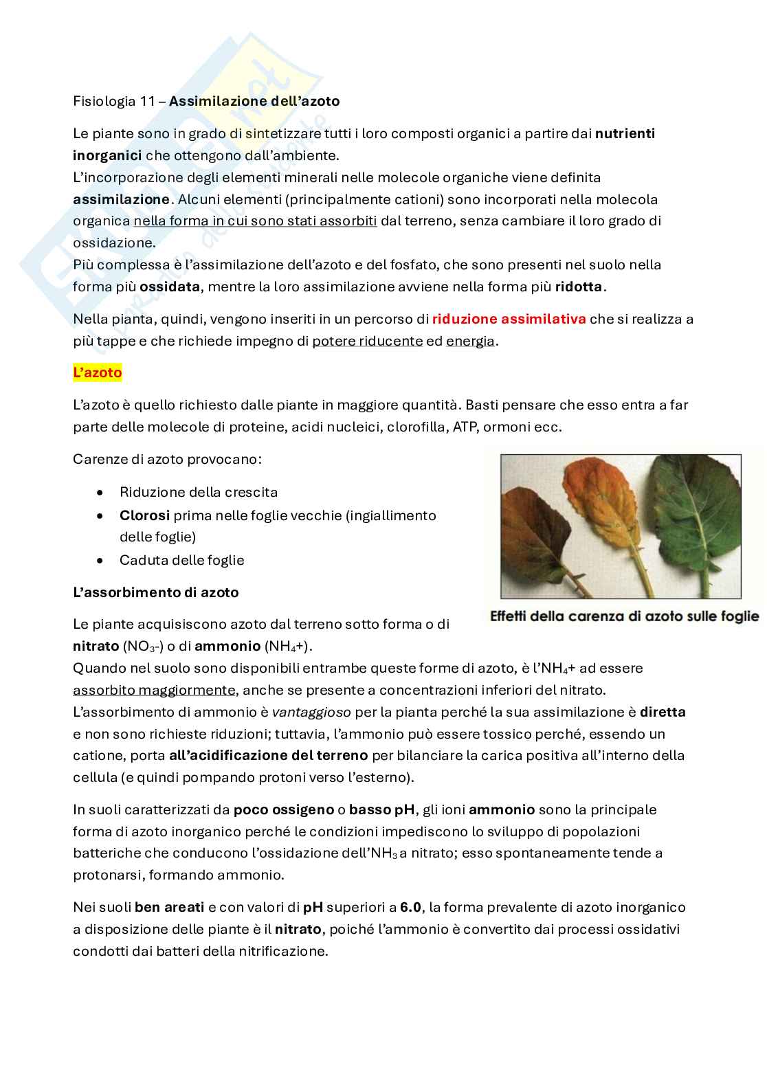 Assimilazione di azoto e zolfo Pag. 1