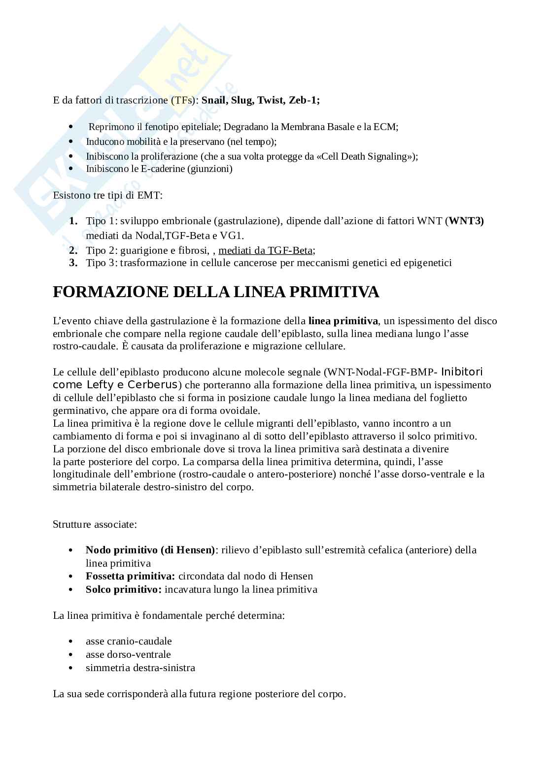 Riassunto esame Istologia ed embriologia umana, Prof. Virgilio Alberto, libro consigliato Istologia, Monesi Pag. 2