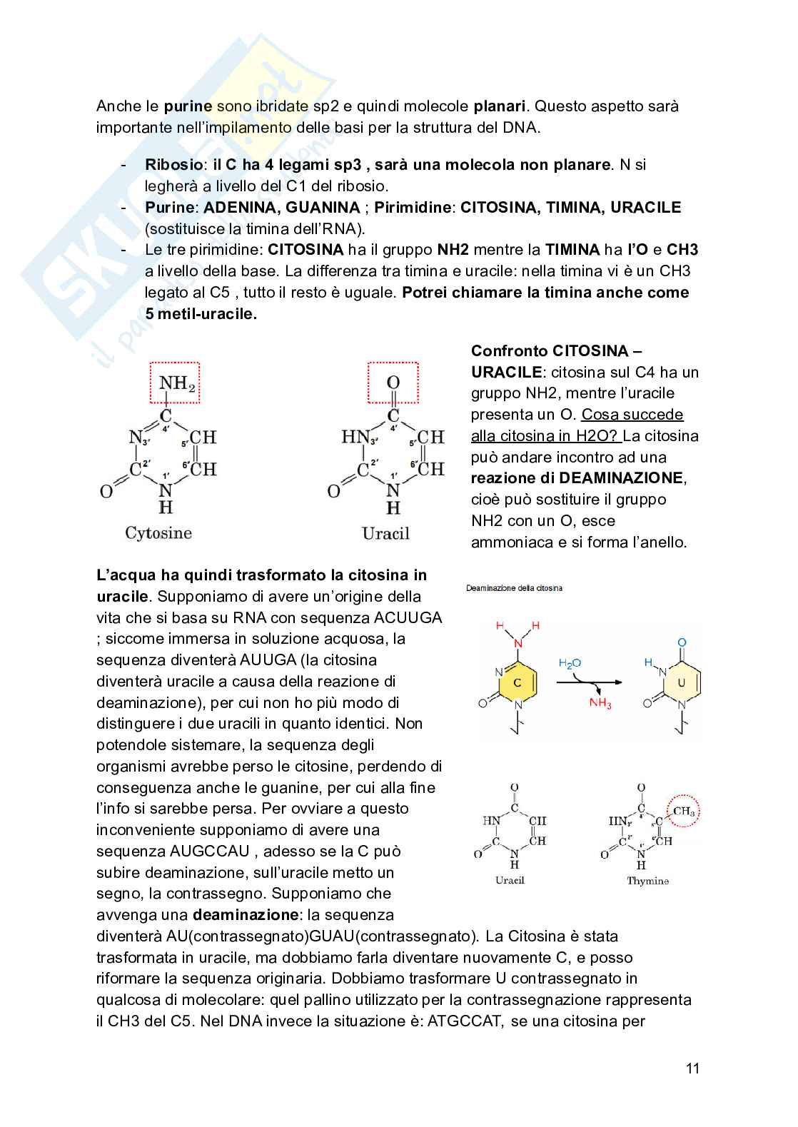 Biologia molecolare completo Pag. 11