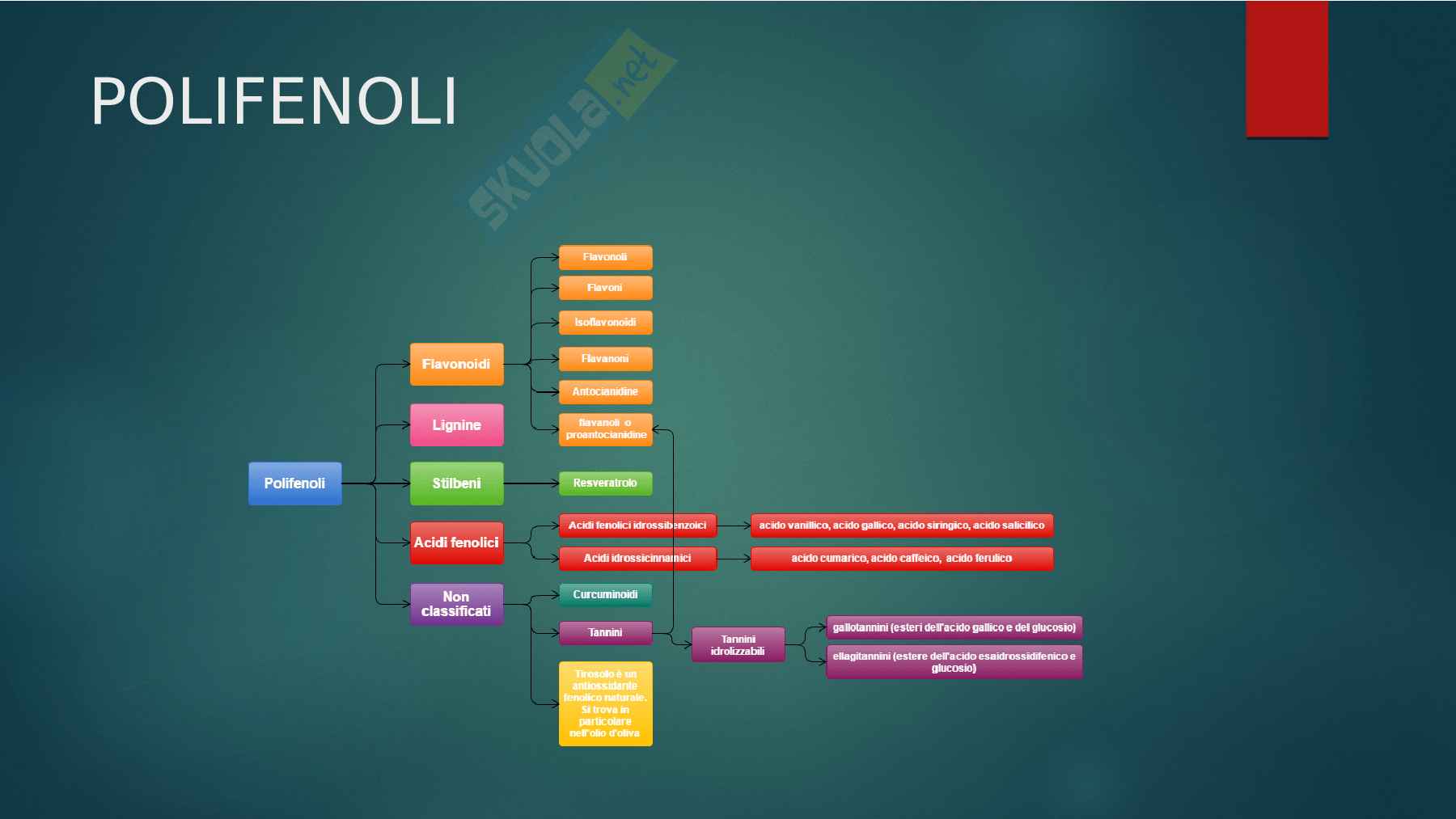 Nutrizione Funzionale Pag. 11