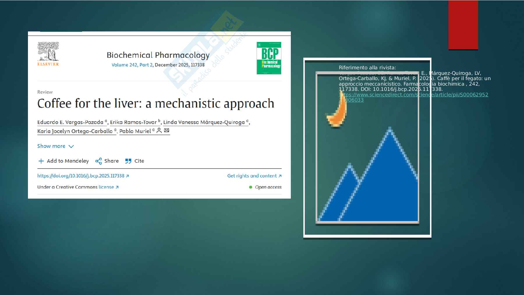 Nutrizione Funzionale Pag. 16