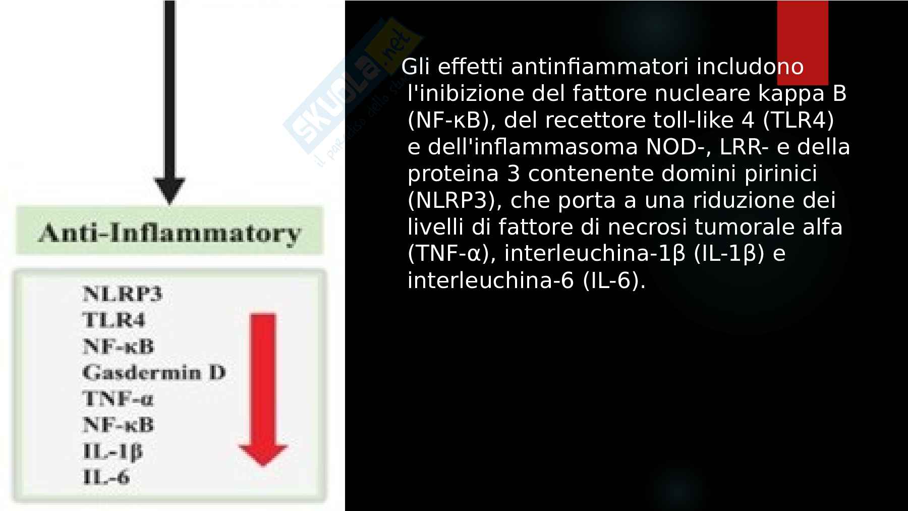 Nutrizione Funzionale Pag. 21