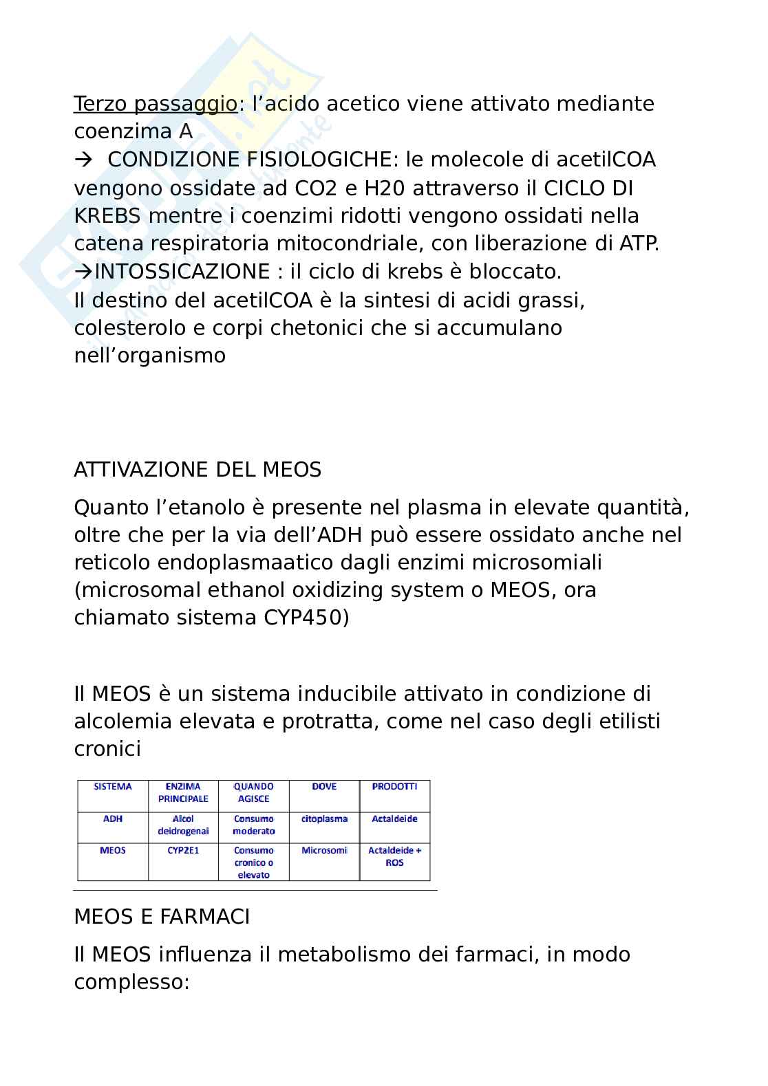 Bevande alcoliche  Pag. 6