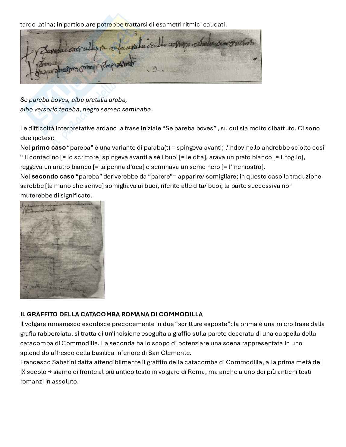 Riassunto esame Linguistica italiana, Prof. Antonelli Giuseppe, libro consigliato L'italiano nella storia , Trifone, Picchiorri, Zarra Pag. 2