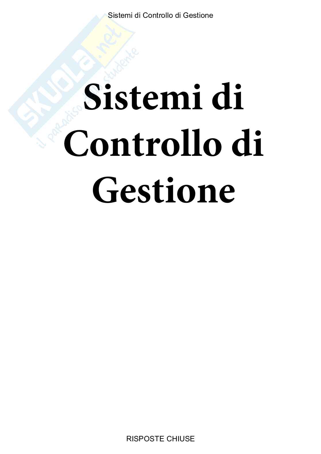 Sistemi di controllo di gestione - Paniere compilato Pag. 1